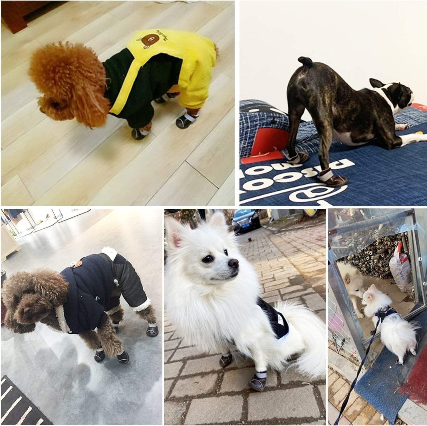 GLE2016 Dog Boot, Waterproof Rugged Pet Dog Shoes Puppy Rain Boots Outdoor Indoor Shoes Large Dog Boots Non Slip Black Rubber Sole Breathable Paw Protectors (#4, Brown) Animals & Pet Supplies > Pet Supplies > Dog Supplies > Dog Apparel GLE2016   