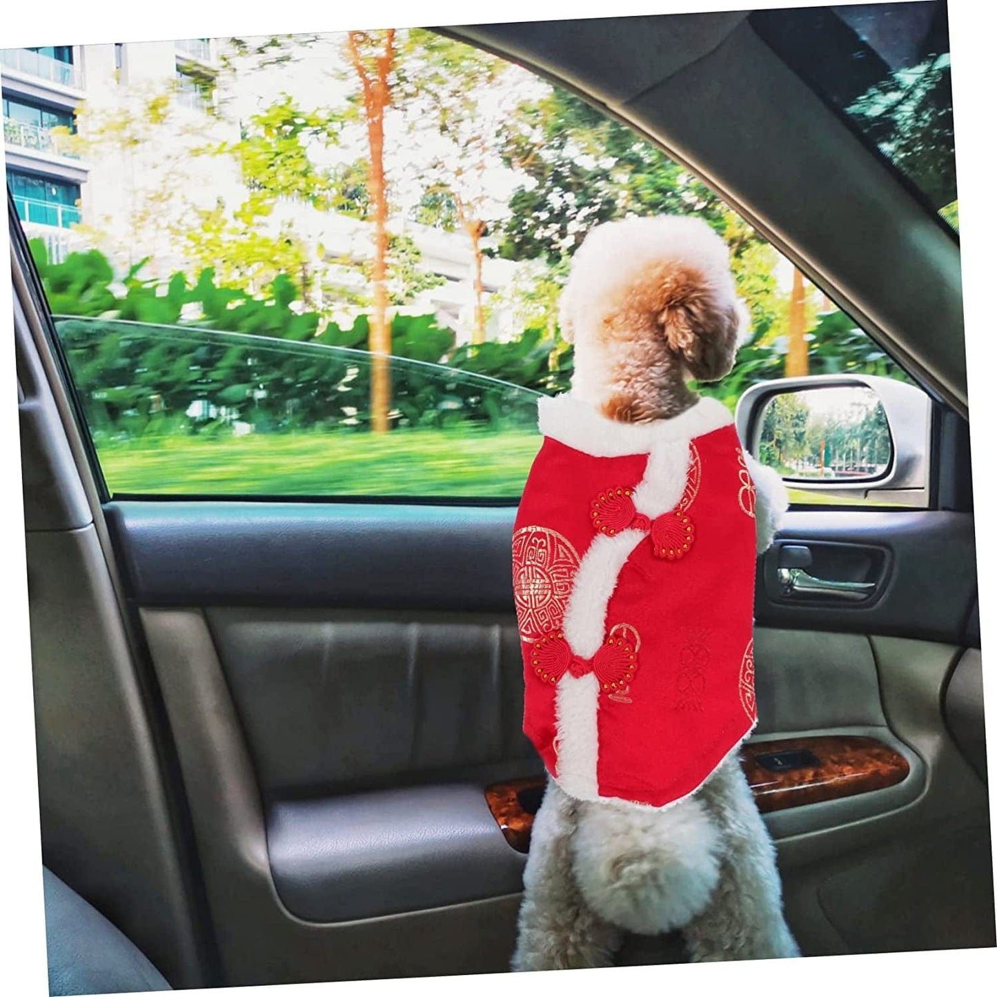 GLSTOY 3 Pcs Pet Suit Cotton Coat Dress Jacket Thermal Sets for Women Outfit Sets for Women Dog Winter Coat Pet Chinese Skirt Chinese Style Dog Vest Puppy Apparel Dog Puppy Vest Red Animals & Pet Supplies > Pet Supplies > Dog Supplies > Dog Apparel GLSTOY   