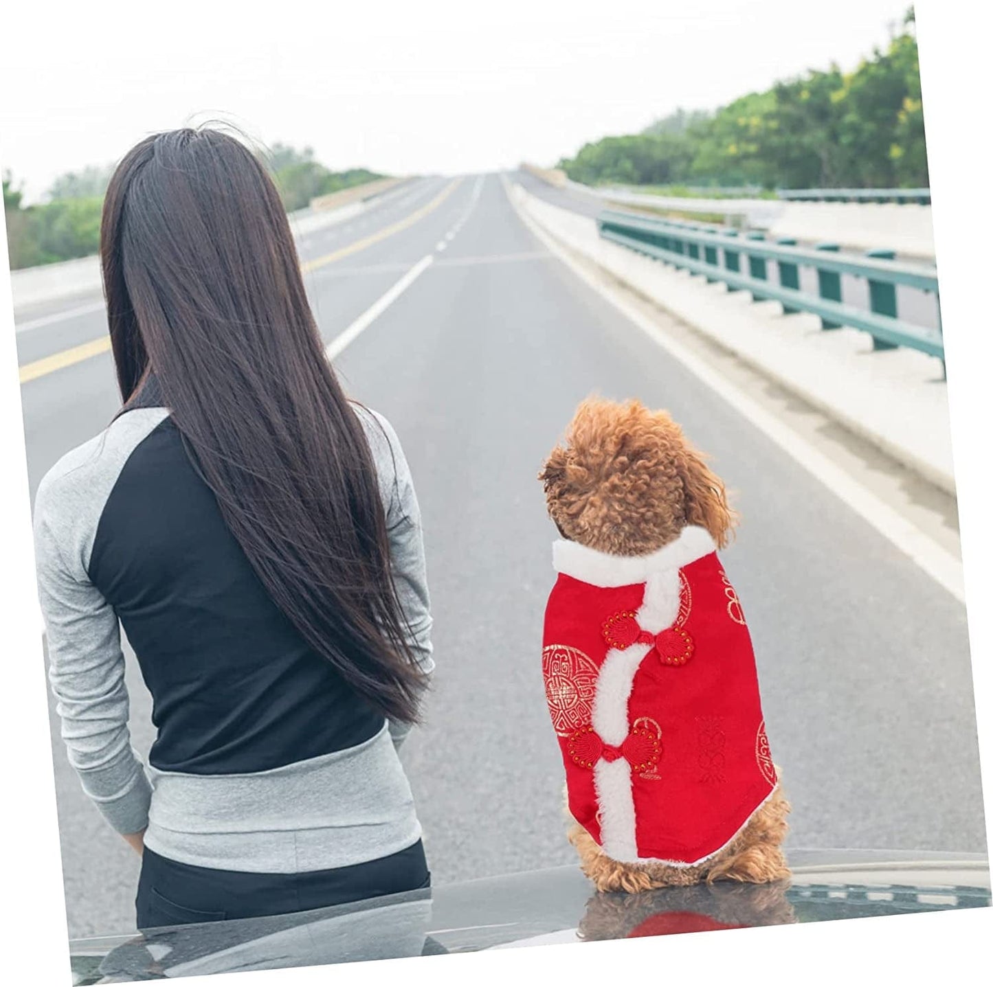 GLSTOY 3 Pcs Pet Suit Cotton Coat Dress Jacket Thermal Sets for Women Outfit Sets for Women Dog Winter Coat Pet Chinese Skirt Chinese Style Dog Vest Puppy Apparel Dog Puppy Vest Red Animals & Pet Supplies > Pet Supplies > Dog Supplies > Dog Apparel GLSTOY   