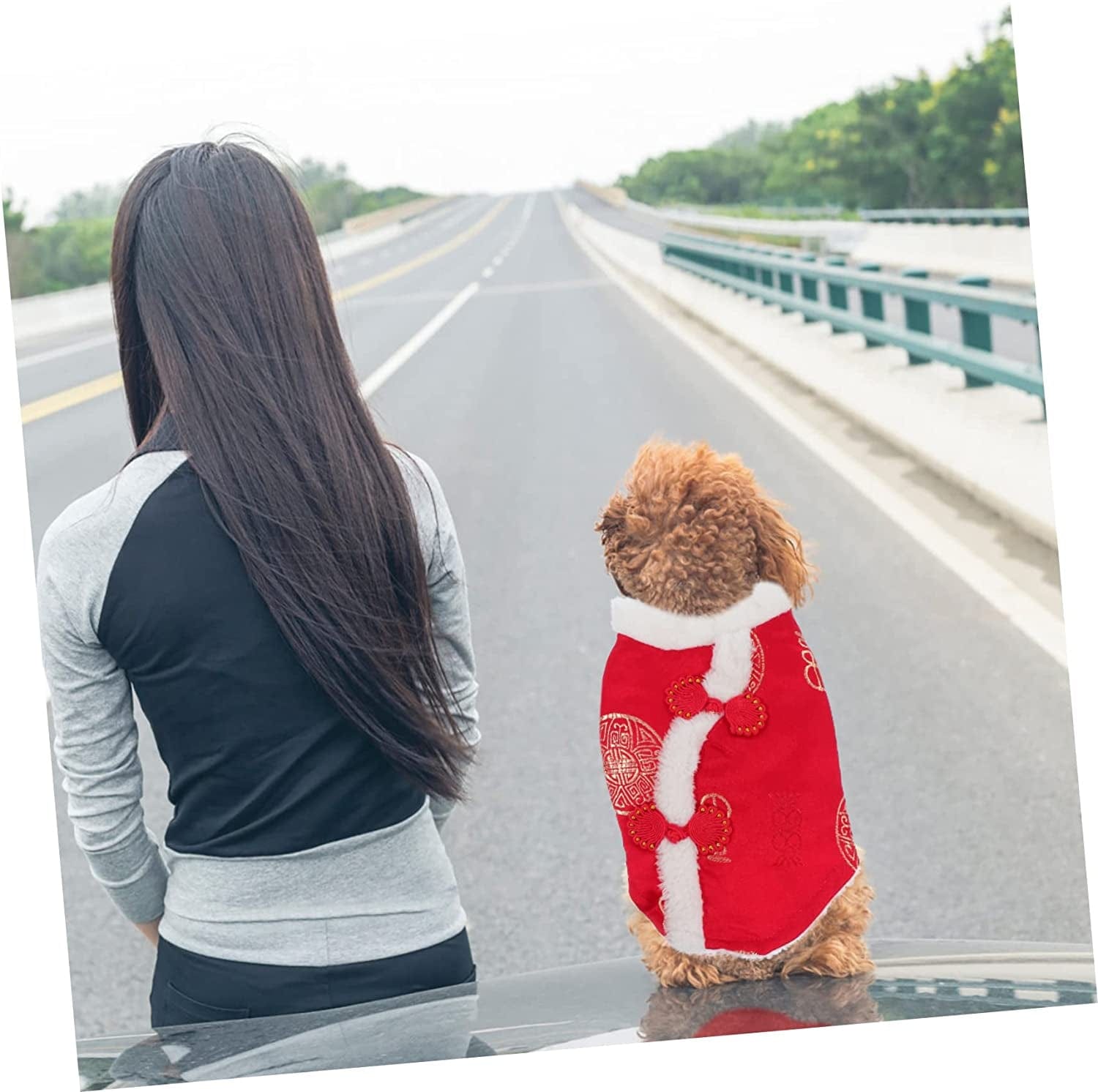 GLSTOY 3 Pcs Pet Suit Cotton Coat Dress Jacket Thermal Sets for Women Outfit Sets for Women Dog Winter Coat Pet Chinese Skirt Chinese Style Dog Vest Puppy Apparel Dog Puppy Vest Red Animals & Pet Supplies > Pet Supplies > Dog Supplies > Dog Apparel GLSTOY   