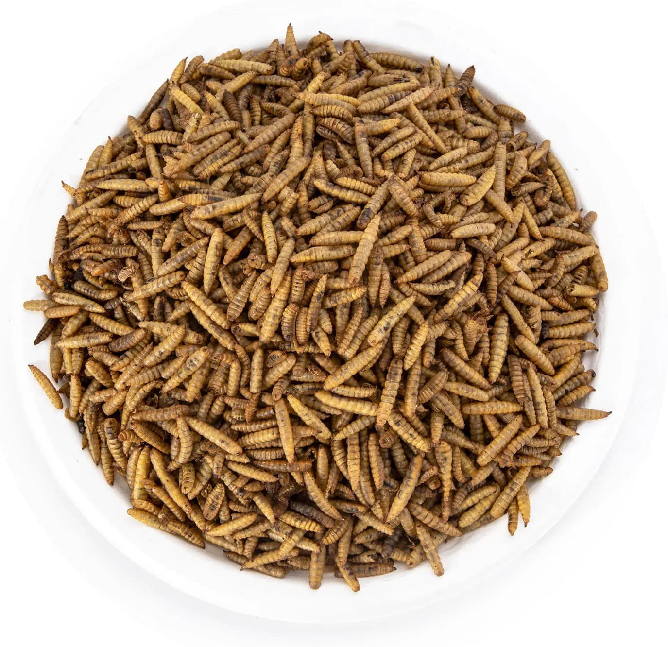 GOLDWORMS Superior to Dried Mealworms for Chickens - Non-Gmo Dried Black Soldier Fly Larvae - 85X More Calcium than Meal Worms - BSF Larvae Treats for Wild Birds, Hens, Ducks, Reptiles Animals & Pet Supplies > Pet Supplies > Bird Supplies > Bird Treats GOLDWORMS   