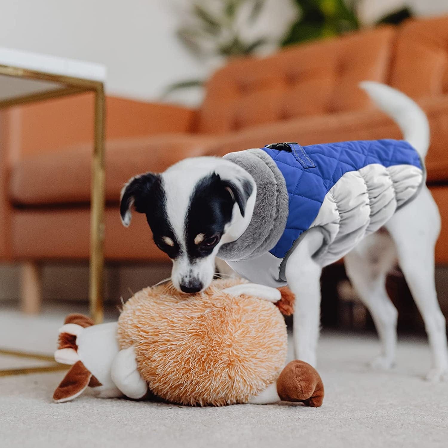 Gorsbark Dog Jacket Warm Coat Thicken Dog Vest, Winter Clothing, Windproof Pet Apparel Cold Weather, Puppy Padded Lining Dog Coat with Reflective Strips for Small Medium Large Dogs Bule L Animals & Pet Supplies > Pet Supplies > Dog Supplies > Dog Apparel Gorsbark   