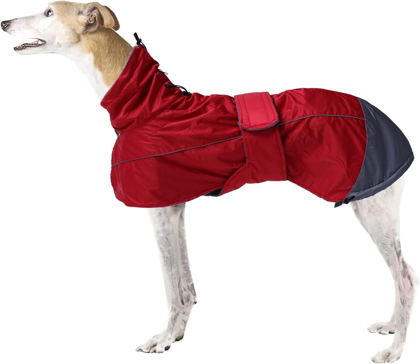 Greyhound Lurcher Winter Coat, Whippet Jacket with Padded Fleece, Waterproof Dog Snowsuit with Adjustable Bands and High Reflective Be Safety - Red - Medium Animals & Pet Supplies > Pet Supplies > Dog Supplies > Dog Apparel Morezi Small(Length: 20"-21.5"in)  