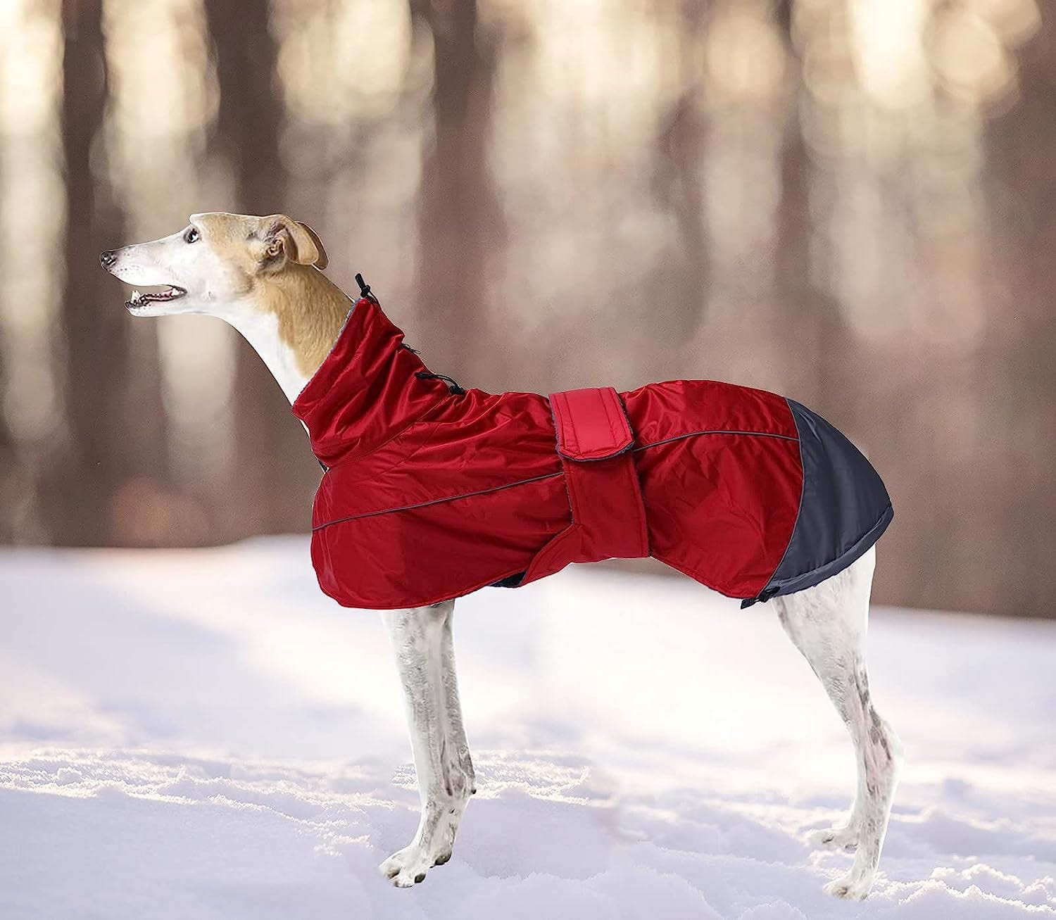 Greyhound Lurcher Winter Coat, Whippet Jacket with Padded Fleece, Waterproof Dog Snowsuit with Adjustable Bands and High Reflective Be Safety - Red - Medium Animals & Pet Supplies > Pet Supplies > Dog Supplies > Dog Apparel Morezi   