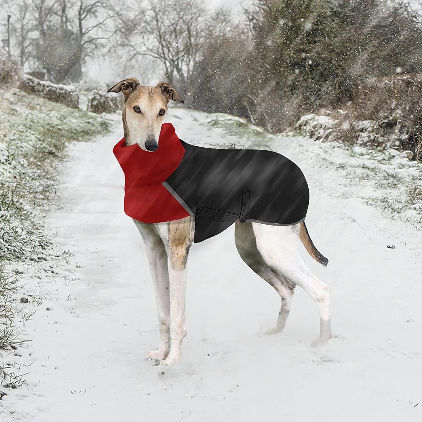 Greyhound Winter Coat, Dog Jacket Waterproof, Greyhound Coat with Harness Hole, Waterproof Dog Coats, Dog Jumper Jacket, Whippet Raincoat, Outdoor Dog Apparel for Whippet Lurcher Salukis (S, Black) Animals & Pet Supplies > Pet Supplies > Dog Supplies > Dog Apparel GZDDG   