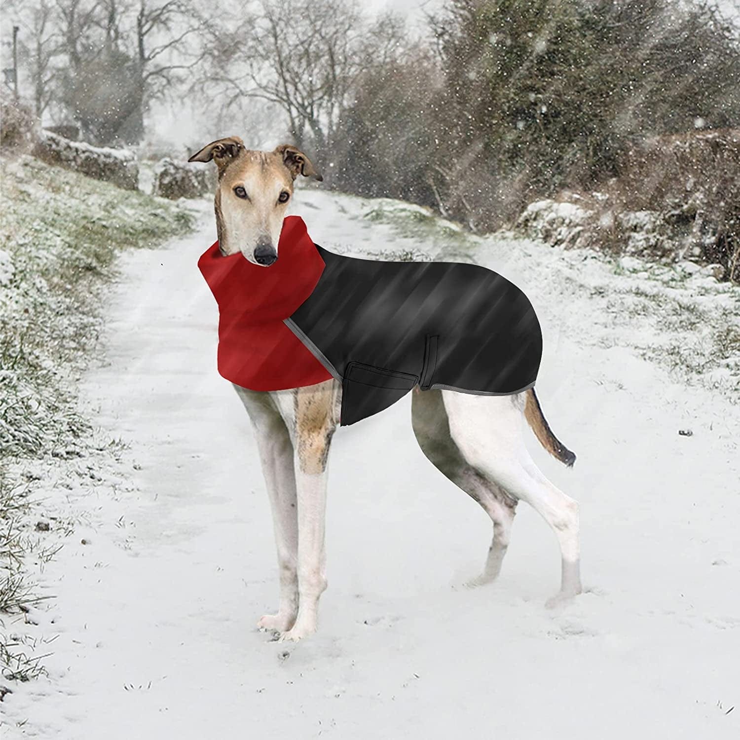 Greyhound Winter Coat, Dog Jacket Waterproof, Greyhound Coat with Harness Hole, Waterproof Dog Coats, Dog Jumper Jacket, Whippet Raincoat, Outdoor Dog Apparel for Whippet Lurcher Salukis (S, Black) Animals & Pet Supplies > Pet Supplies > Dog Supplies > Dog Apparel GZDDG   