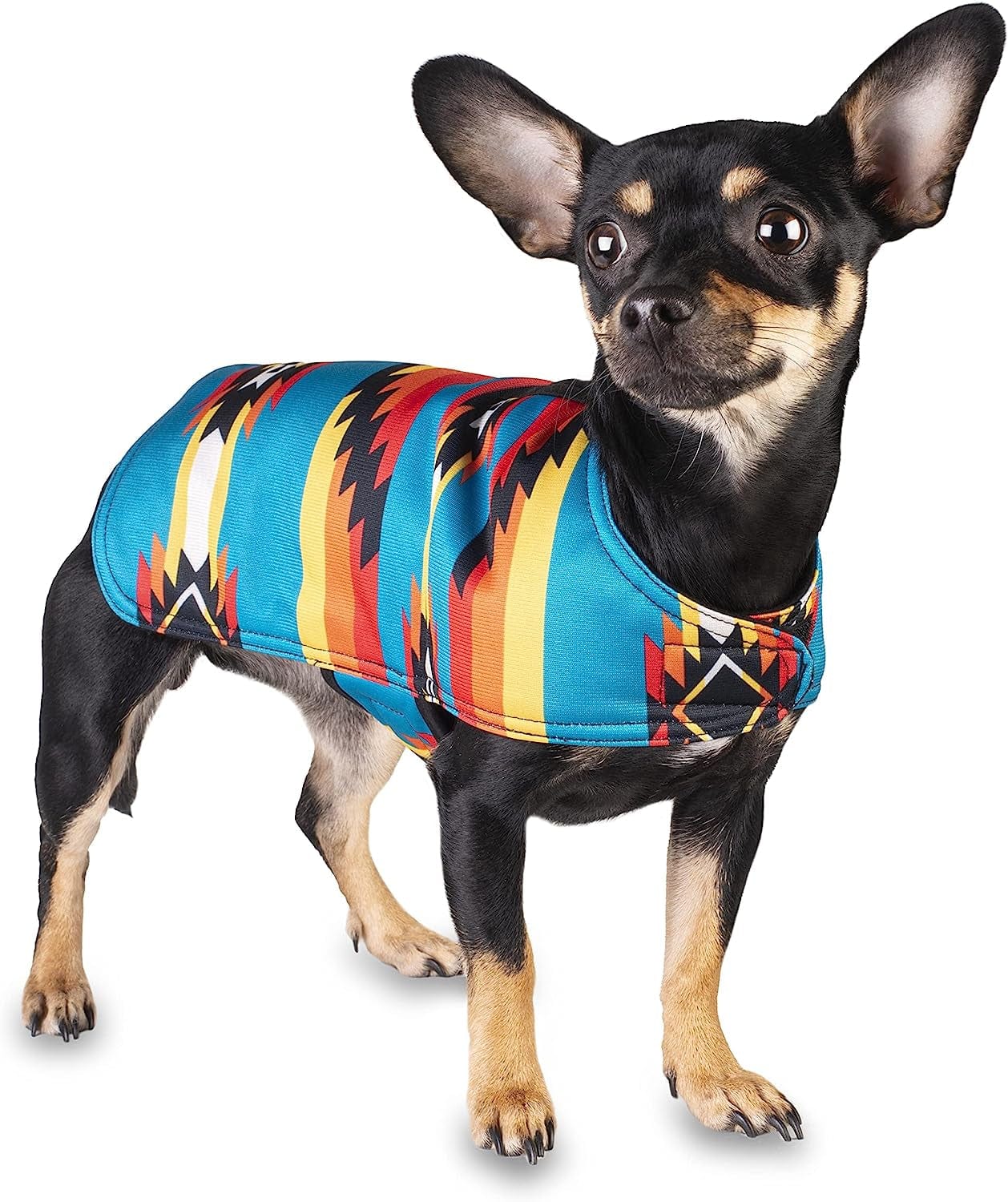 Handmade Dog Poncho from Mexican Southwest Blanket - Dog Clothes - Coat - Costume - Sweater - Vest (Southwestern, X-Small) Animals & Pet Supplies > Pet Supplies > Dog Supplies > Dog Apparel Baja Ponchos   