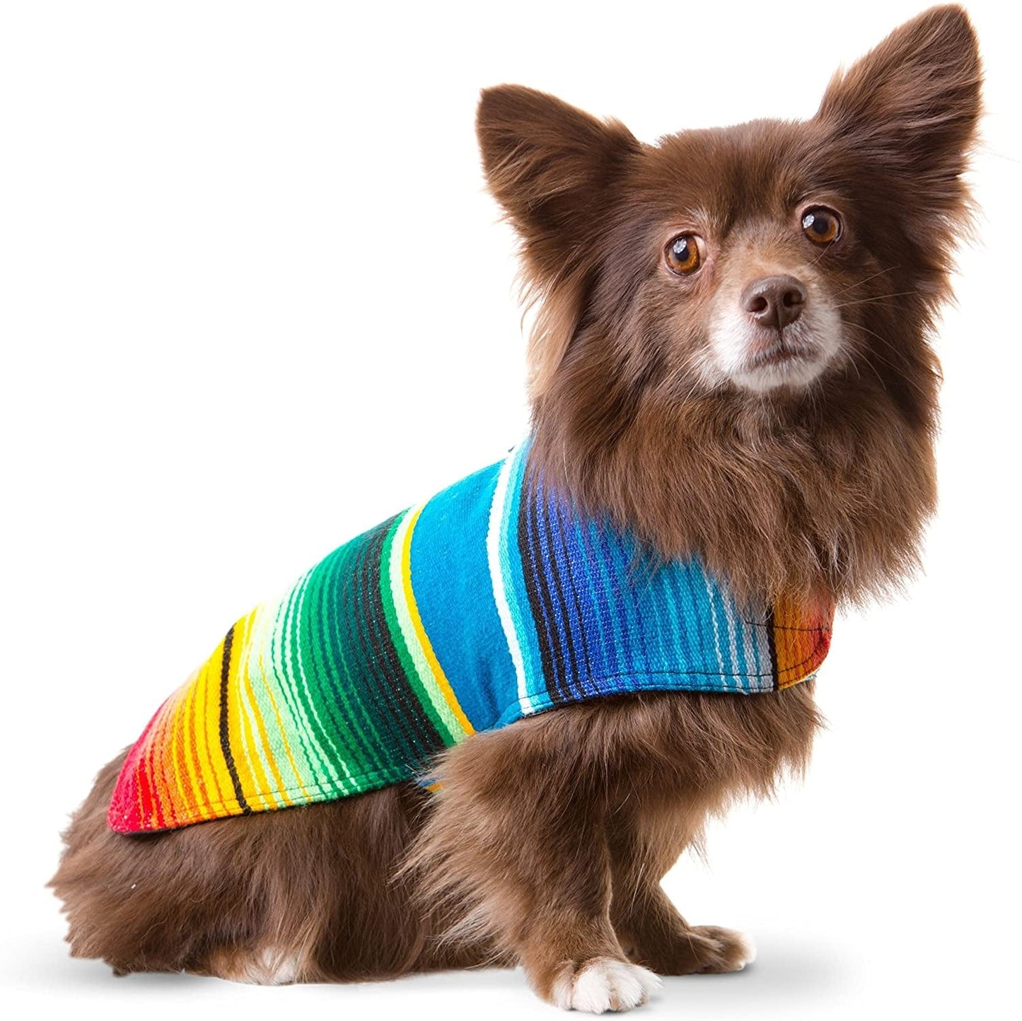 Handmade Dog Poncho from Mexican Southwest Blanket - Dog Clothes - Coat - Costume - Sweater - Vest (Southwestern, X-Small) Animals & Pet Supplies > Pet Supplies > Dog Supplies > Dog Apparel Baja Ponchos Blue Small 