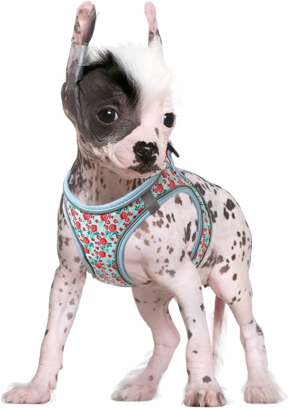 HEELE Dog Harness, No Pull Puppy Harness Adjustable Breathable Soft Padded Vest, Reflective Outdoor Pet Mesh Fabric Vest Animals & Pet Supplies > Pet Supplies > Dog Supplies > Dog Apparel HEELE Cyan flower X-Small 