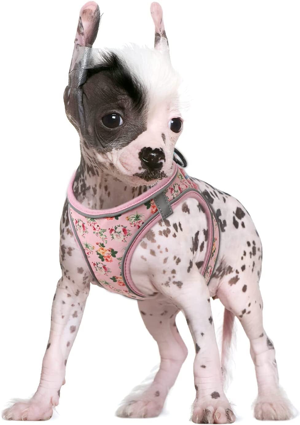 HEELE Dog Harness, No Pull Puppy Harness Adjustable Breathable Soft Padded Vest, Reflective Outdoor Pet Mesh Fabric Vest Animals & Pet Supplies > Pet Supplies > Dog Supplies > Dog Apparel HEELE Pink flower X-Small 