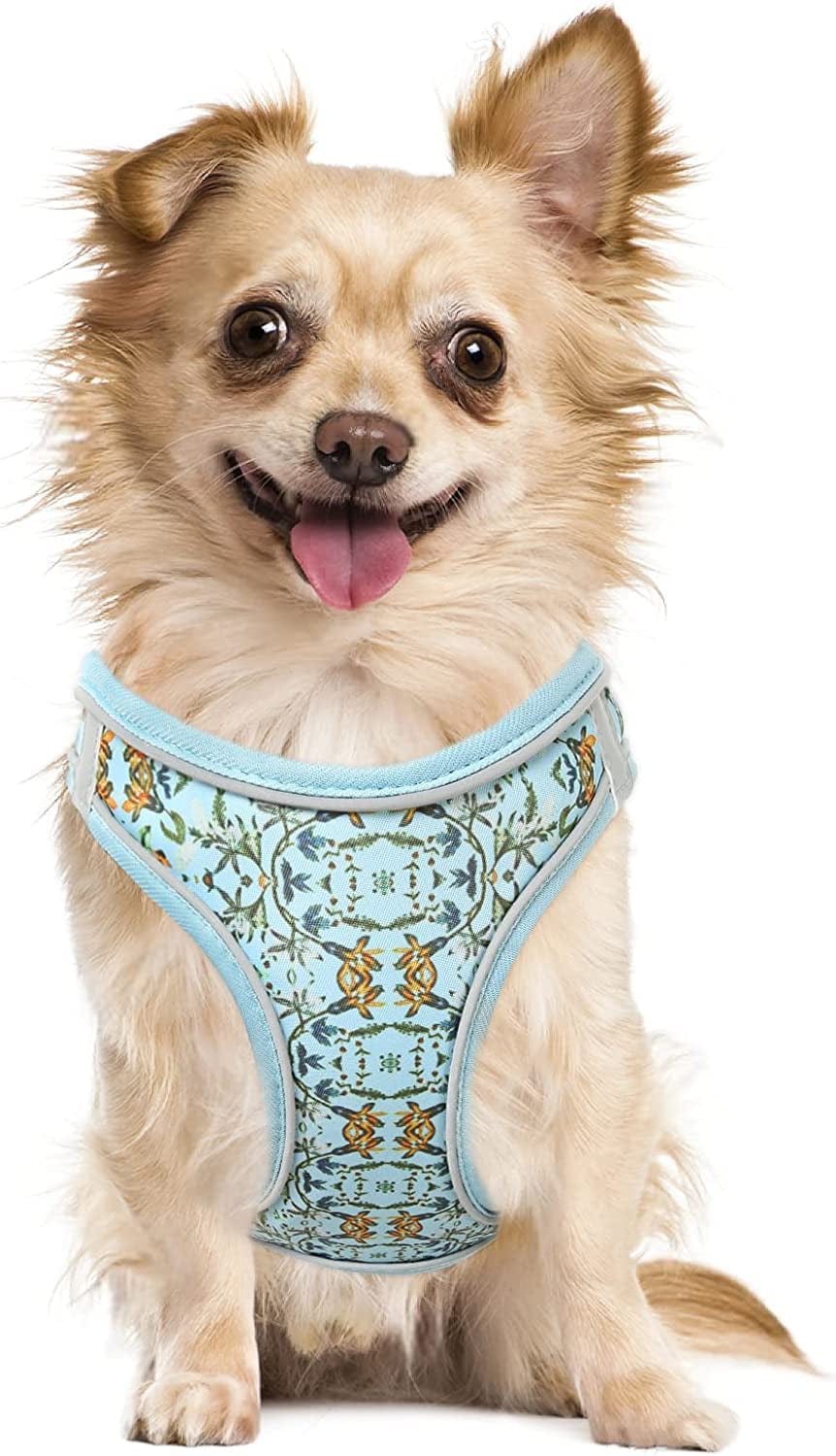HEELE Dog Harness, No Pull Puppy Harness Adjustable Breathable Soft Padded Vest, Reflective Outdoor Pet Mesh Fabric Vest Animals & Pet Supplies > Pet Supplies > Dog Supplies > Dog Apparel HEELE Cyan print X-Small 