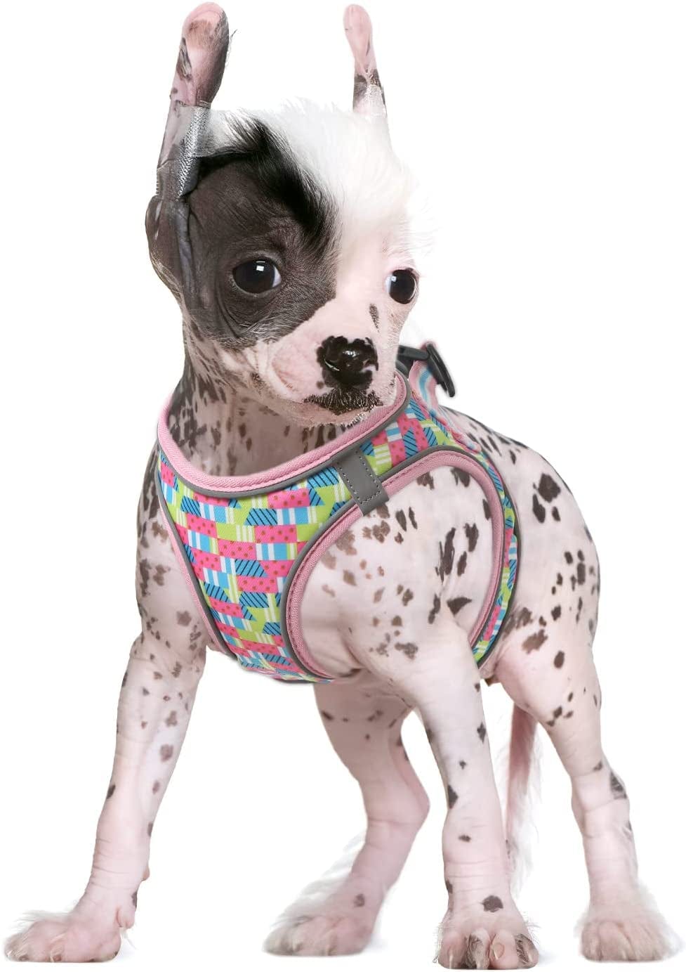HEELE Dog Harness, No Pull Puppy Harness Adjustable Breathable Soft Padded Vest, Reflective Outdoor Pet Mesh Fabric Vest Animals & Pet Supplies > Pet Supplies > Dog Supplies > Dog Apparel HEELE Pink strawberry X-Small 