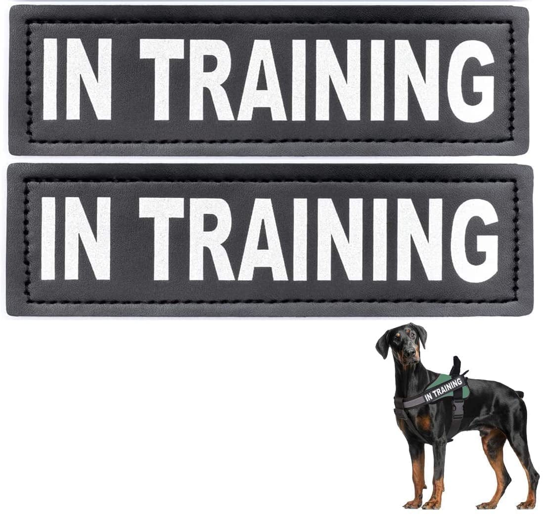 Homiego 2 Pack in Training Dog Patches Reflective and Removable Dog Patches with Hook Backing for Service Dog Vests Harnesses Collar and Leash Animals & Pet Supplies > Pet Supplies > Dog Supplies > Dog Apparel Homiego 1-Black  