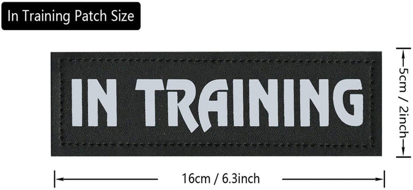 Homiego 2 Pack in Training Dog Patches Reflective and Removable Dog Patches with Hook Backing for Service Dog Vests Harnesses Collar and Leash Animals & Pet Supplies > Pet Supplies > Dog Supplies > Dog Apparel Homiego   