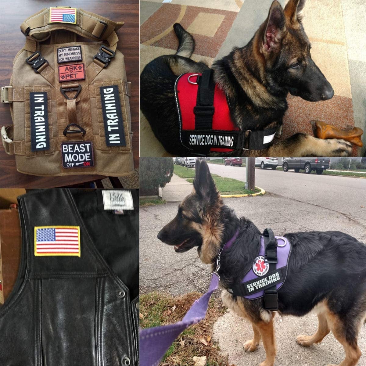 Homiego 4 Pack Service Dog in Training Patch American Flag Ask to Pet Military Morale Badge for Tactical Dog Harness Vest Saddlebag Backpack Animals & Pet Supplies > Pet Supplies > Dog Supplies > Dog Apparel Homiego   