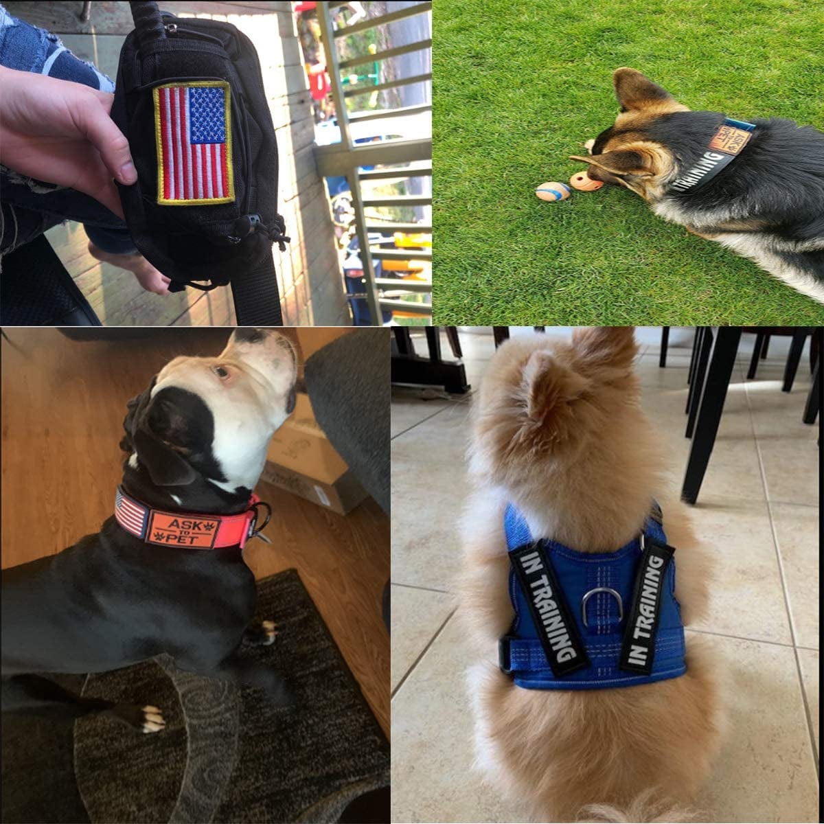 Homiego 4 Pack Service Dog in Training Patch American Flag Ask to Pet Military Morale Badge for Tactical Dog Harness Vest Saddlebag Backpack Animals & Pet Supplies > Pet Supplies > Dog Supplies > Dog Apparel Homiego   