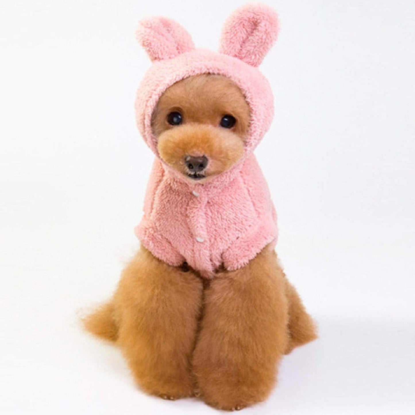 Honprad Puppy Jackets for Extra Small Dogs Girl Fashion Dog Winter Cloth Soft Fleece Vest Doggie Pullover Warm Jacket Pet Vest Animals & Pet Supplies > Pet Supplies > Dog Supplies > Dog Apparel HonpraD   