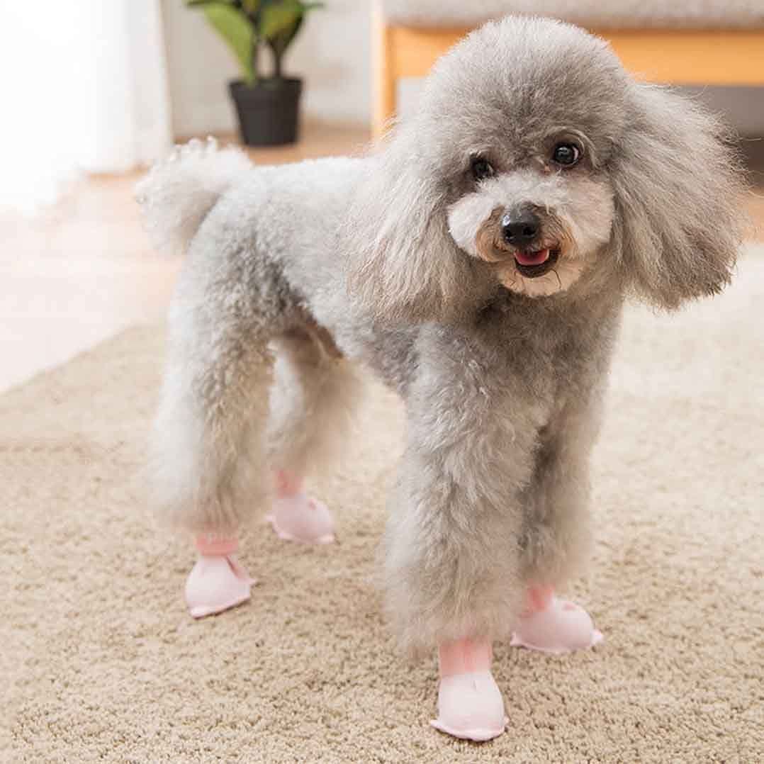 Houchu Waterproof Dog Boots Dolphin Shape Cute Candy Colors Dog Shoes Adjustable Paw Protector Non-Slip Rain Shoes Pet Boots(S,Pink) Animals & Pet Supplies > Pet Supplies > Dog Supplies > Dog Apparel Houchu   