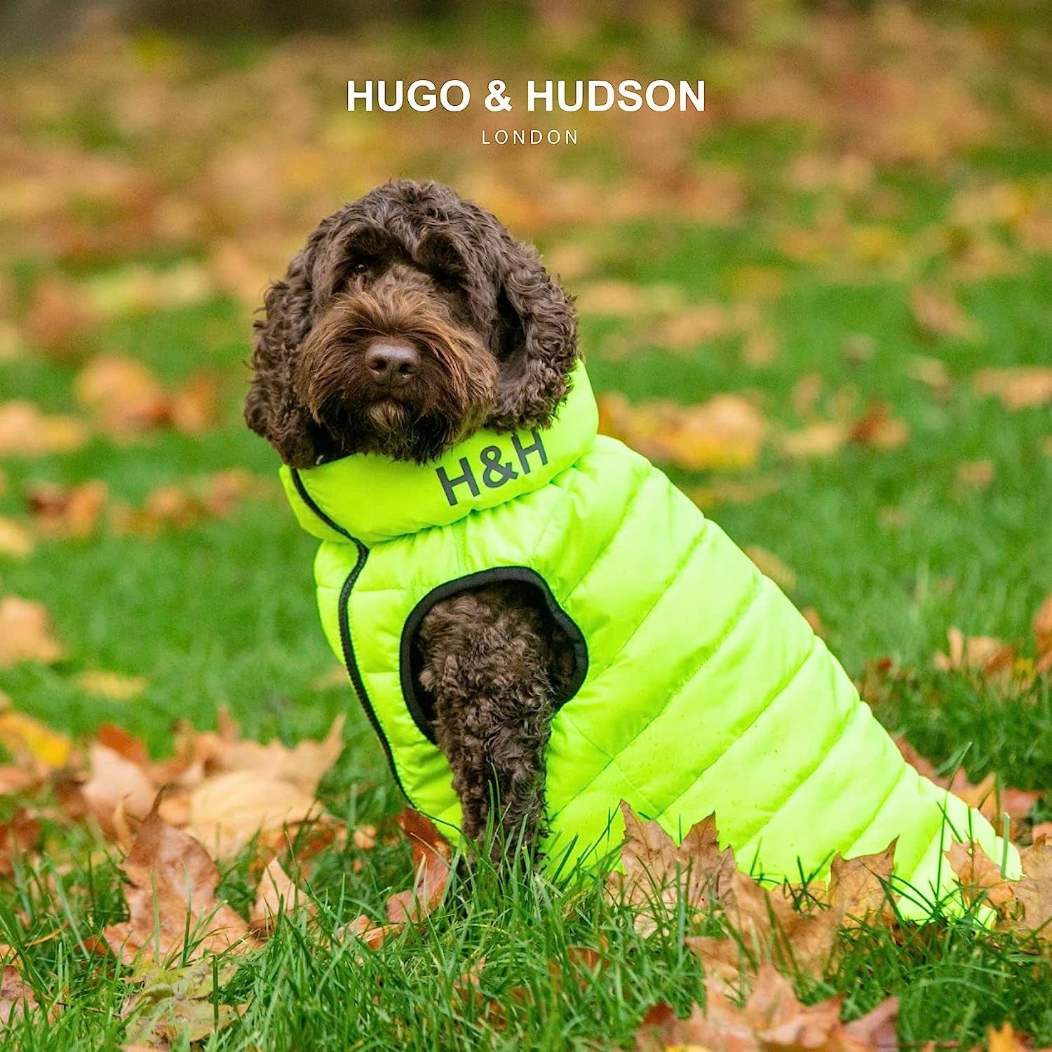 HUGO & HUDSON Dog Puffer Jacket Cold Weather Coats - Clothing & Accessories for Dogs Reversible Water Resistant Pet Coats with Collar Attachment Hole - Green & Navy - S35 Animals & Pet Supplies > Pet Supplies > Dog Supplies > Dog Apparel Hugo & Hudson   