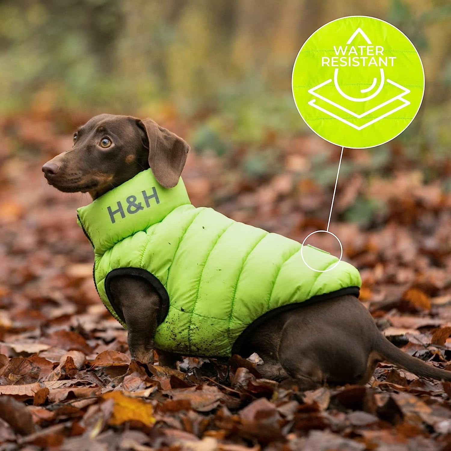 HUGO & HUDSON Dog Puffer Jacket Cold Weather Coats - Clothing & Accessories for Dogs Reversible Water Resistant Pet Coats with Collar Attachment Hole - Green & Navy - S35 Animals & Pet Supplies > Pet Supplies > Dog Supplies > Dog Apparel Hugo & Hudson   