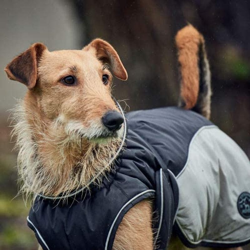 HUNTER Dog Coat Uppsala Cozy, 50 Cm Anthracite/Grey Animals & Pet Supplies > Pet Supplies > Dog Supplies > Dog Apparel HUNTER   