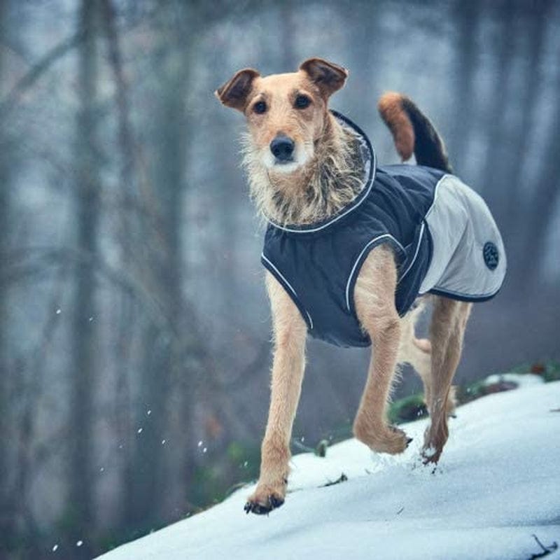 HUNTER Dog Coat Uppsala Cozy, 50 Cm Anthracite/Grey Animals & Pet Supplies > Pet Supplies > Dog Supplies > Dog Apparel HUNTER   