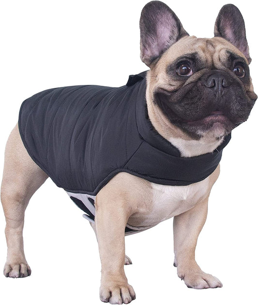 Ichoue French Bulldog Frenchie Winter Coats Dog Jackets Cotton Padded Vests for Pug English Boston Terrier Pitbull - Black/Medium Animals & Pet Supplies > Pet Supplies > Dog Supplies > Dog Apparel iChoue Black Small (Pack of 1) 