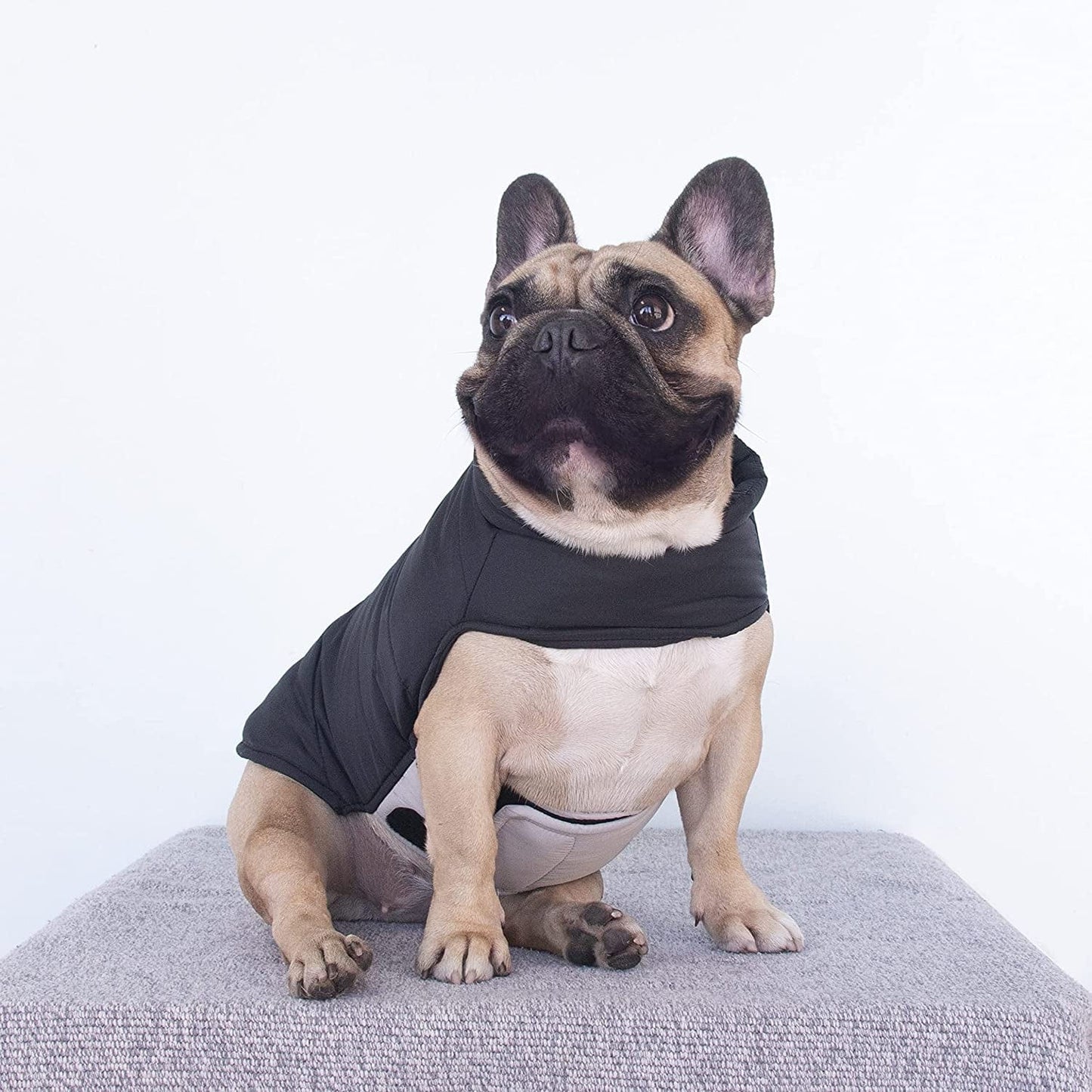 Ichoue French Bulldog Frenchie Winter Coats Dog Jackets Cotton Padded Vests for Pug English Boston Terrier Pitbull - Black/Medium Animals & Pet Supplies > Pet Supplies > Dog Supplies > Dog Apparel iChoue   