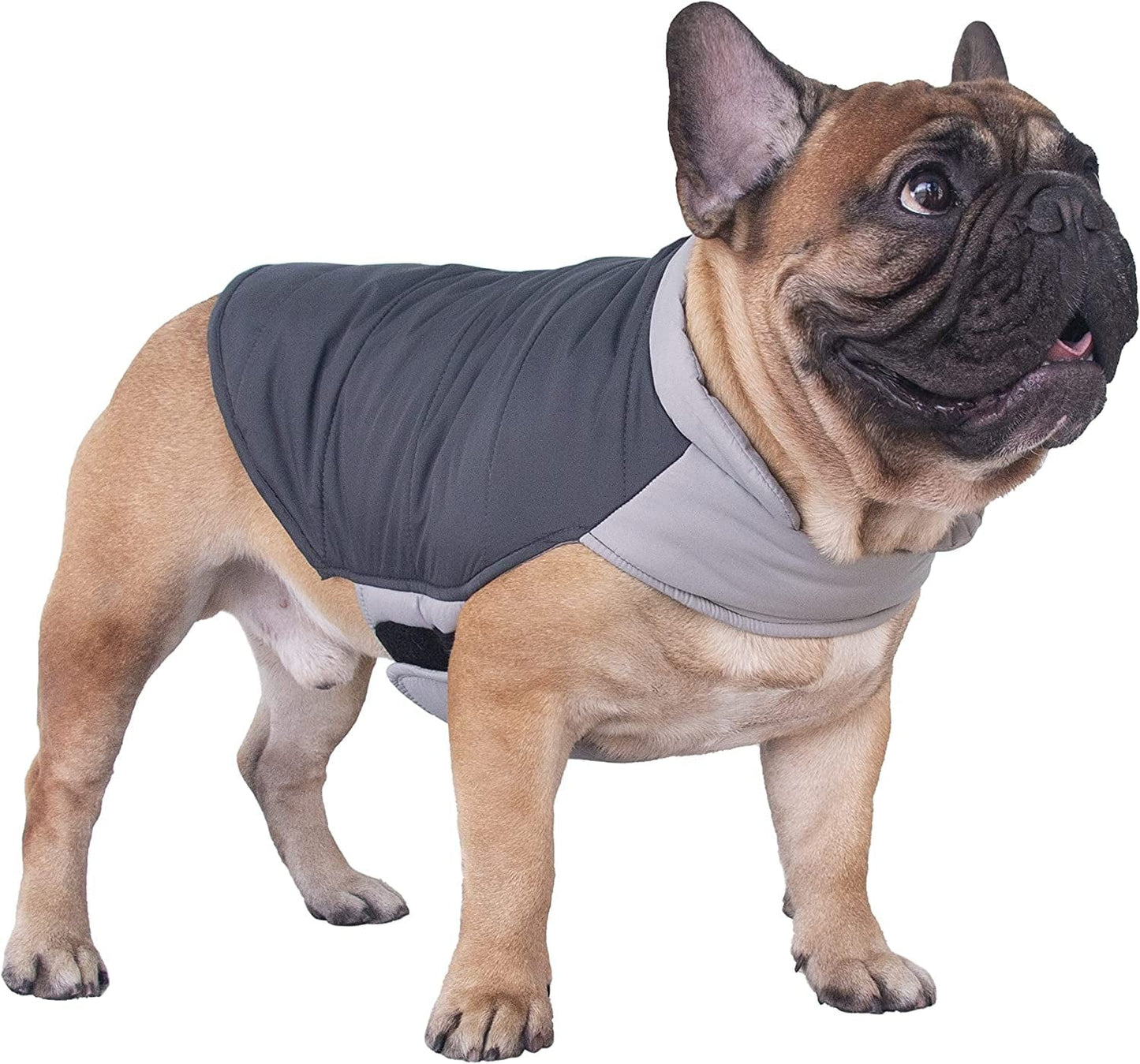 Ichoue French Bulldog Frenchie Winter Coats Dog Jackets Cotton Padded Vests for Pug English Boston Terrier Pitbull - Black/Medium Animals & Pet Supplies > Pet Supplies > Dog Supplies > Dog Apparel iChoue Grey Medium (Pack of 1) 