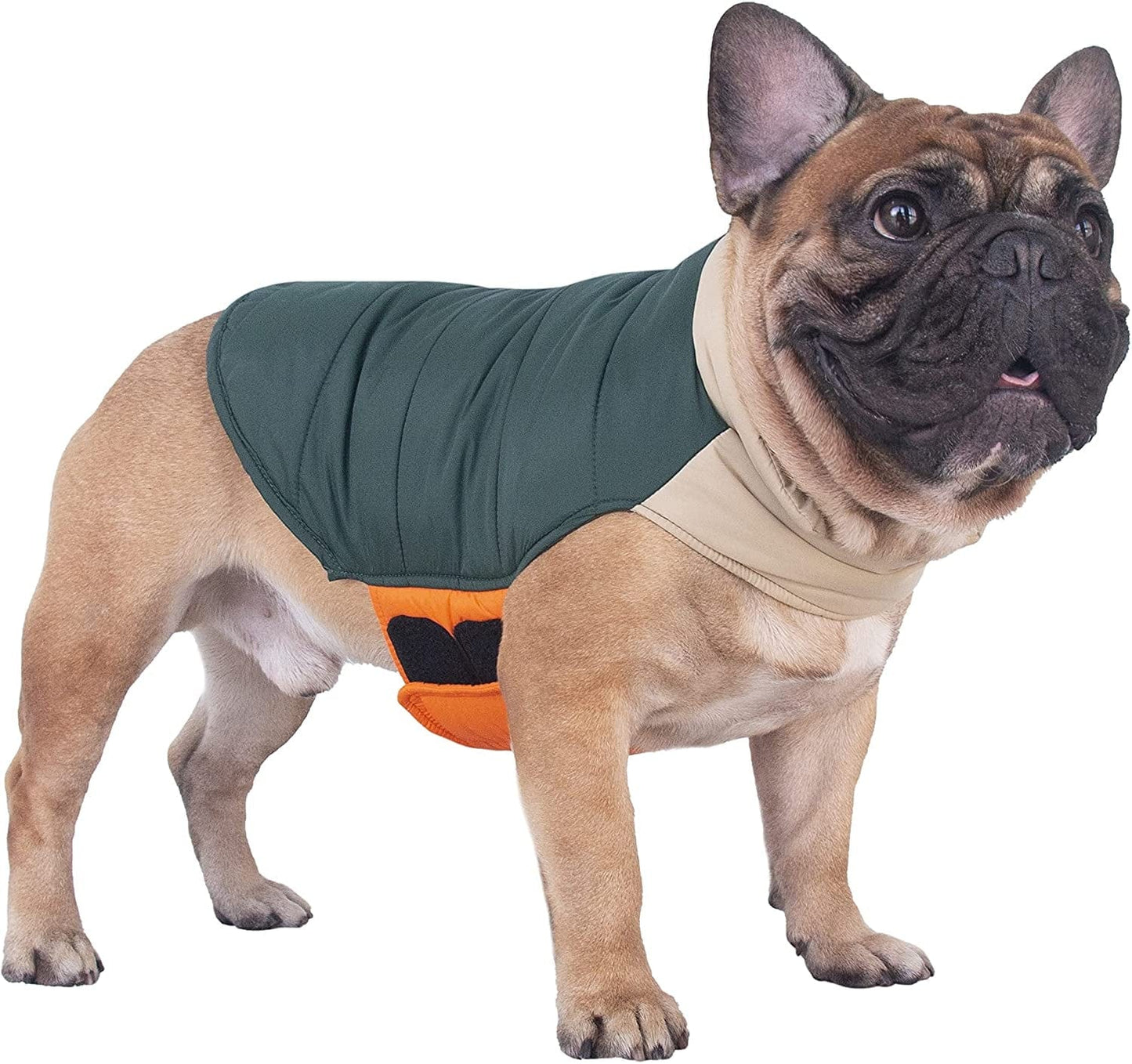 Ichoue French Bulldog Frenchie Winter Coats Dog Jackets Cotton Padded Vests for Pug English Boston Terrier Pitbull - Black/Medium Animals & Pet Supplies > Pet Supplies > Dog Supplies > Dog Apparel iChoue Green Small (Pack of 1) 