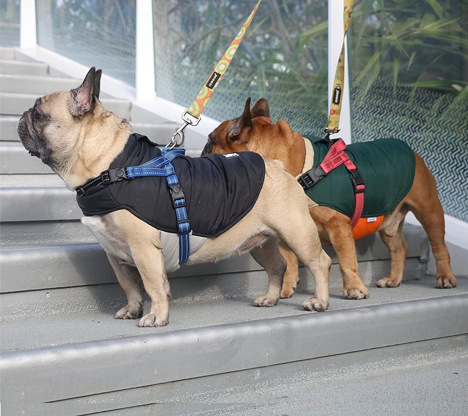 Ichoue French Bulldog Frenchie Winter Coats Dog Jackets Cotton Padded Vests for Pug English Boston Terrier Pitbull - Black/Medium Animals & Pet Supplies > Pet Supplies > Dog Supplies > Dog Apparel iChoue   