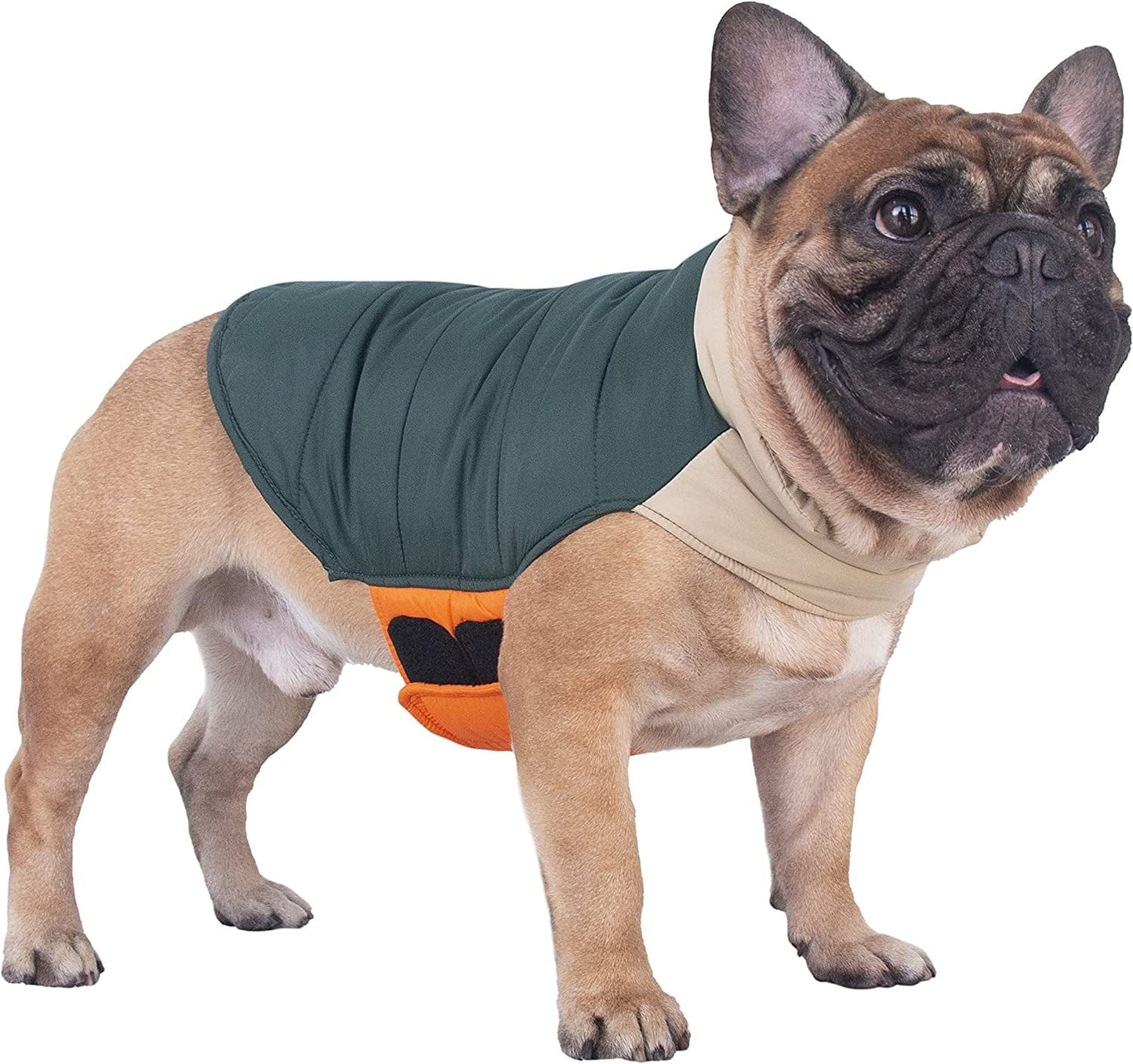 Ichoue French Bulldog Frenchie Winter Coats Dog Jackets Cotton Padded Vests for Pug English Boston Terrier Pitbull - Black/Medium Animals & Pet Supplies > Pet Supplies > Dog Supplies > Dog Apparel iChoue Green X-Large (Pack of 1) 