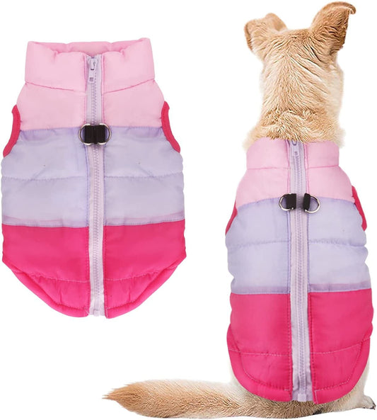 Idepet Pet Dog Cat Coat with Leash Anchor Color Patchwork Padded Puppy Teddy Chihuahua Jacket Vest Costumes Pug Clothes (Xs,Rose Red) Animals & Pet Supplies > Pet Supplies > Dog Supplies > Dog Apparel Idepet Rose Red Small (Pack of 1) 