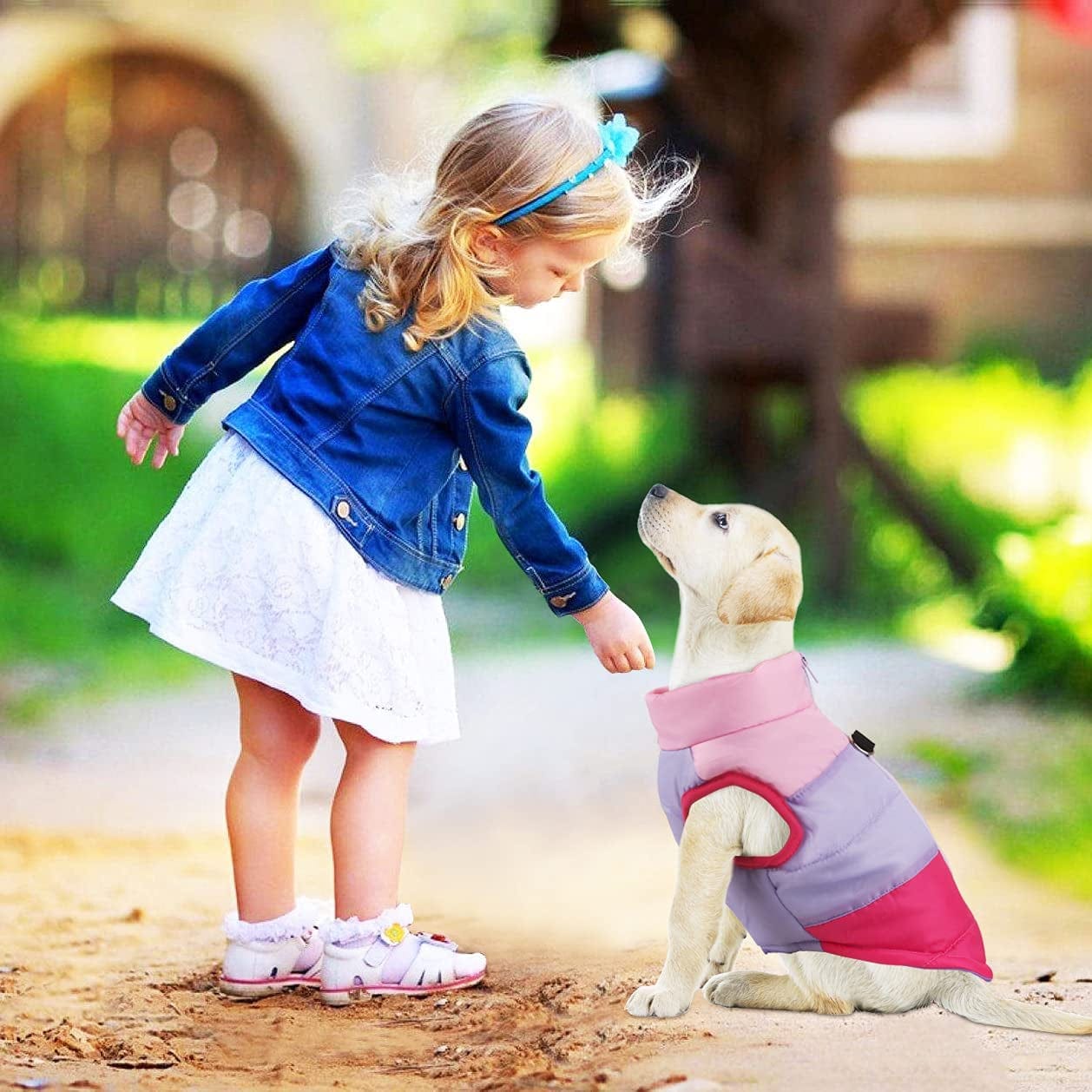 Idepet Pet Dog Cat Coat with Leash Anchor Color Patchwork Padded Puppy Teddy Chihuahua Jacket Vest Costumes Pug Clothes (Xs,Rose Red) Animals & Pet Supplies > Pet Supplies > Dog Supplies > Dog Apparel Idepet   