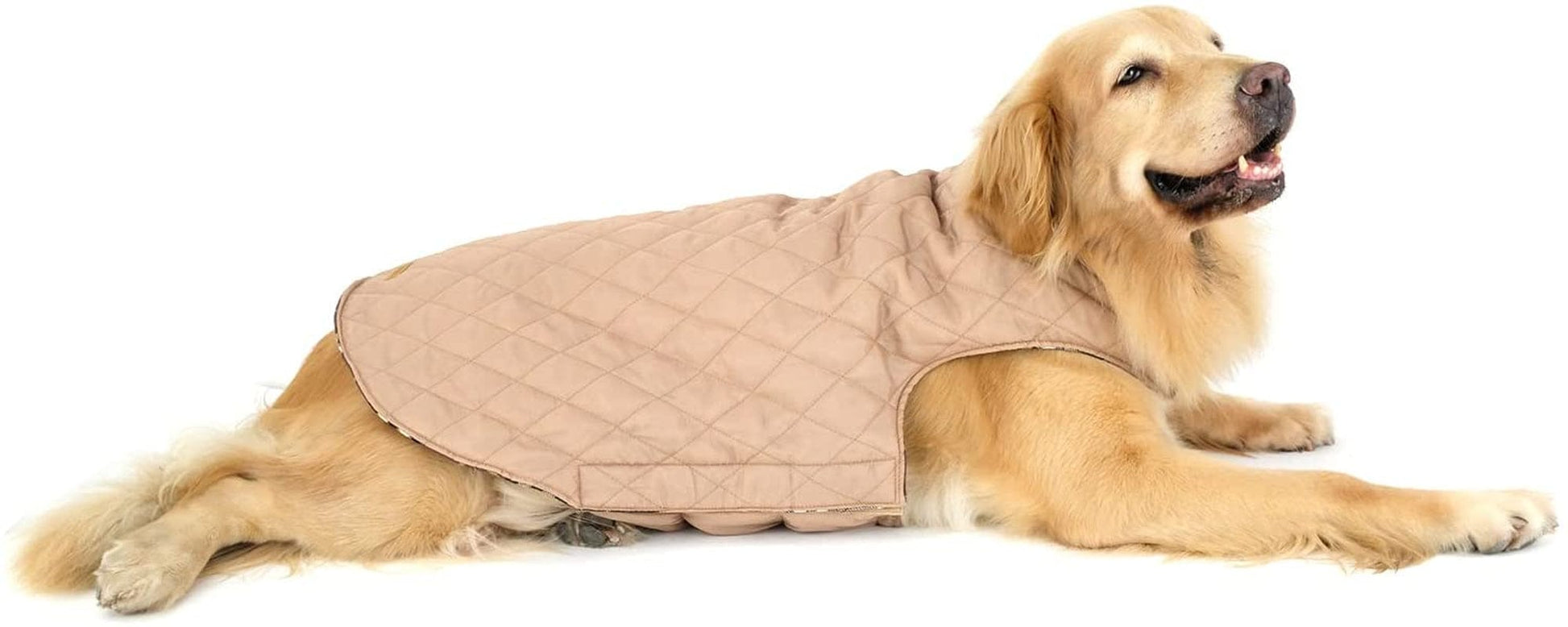 Innopet Dog Coat, Dog Jacket, Cold Weather Dog Coat, Premium Polyester Outer Layer with Cotton Fillings, Reversible Wear, Designed of Dogs, Best for Winter Season Animals & Pet Supplies > Pet Supplies > Dog Supplies > Dog Apparel InnoPet   