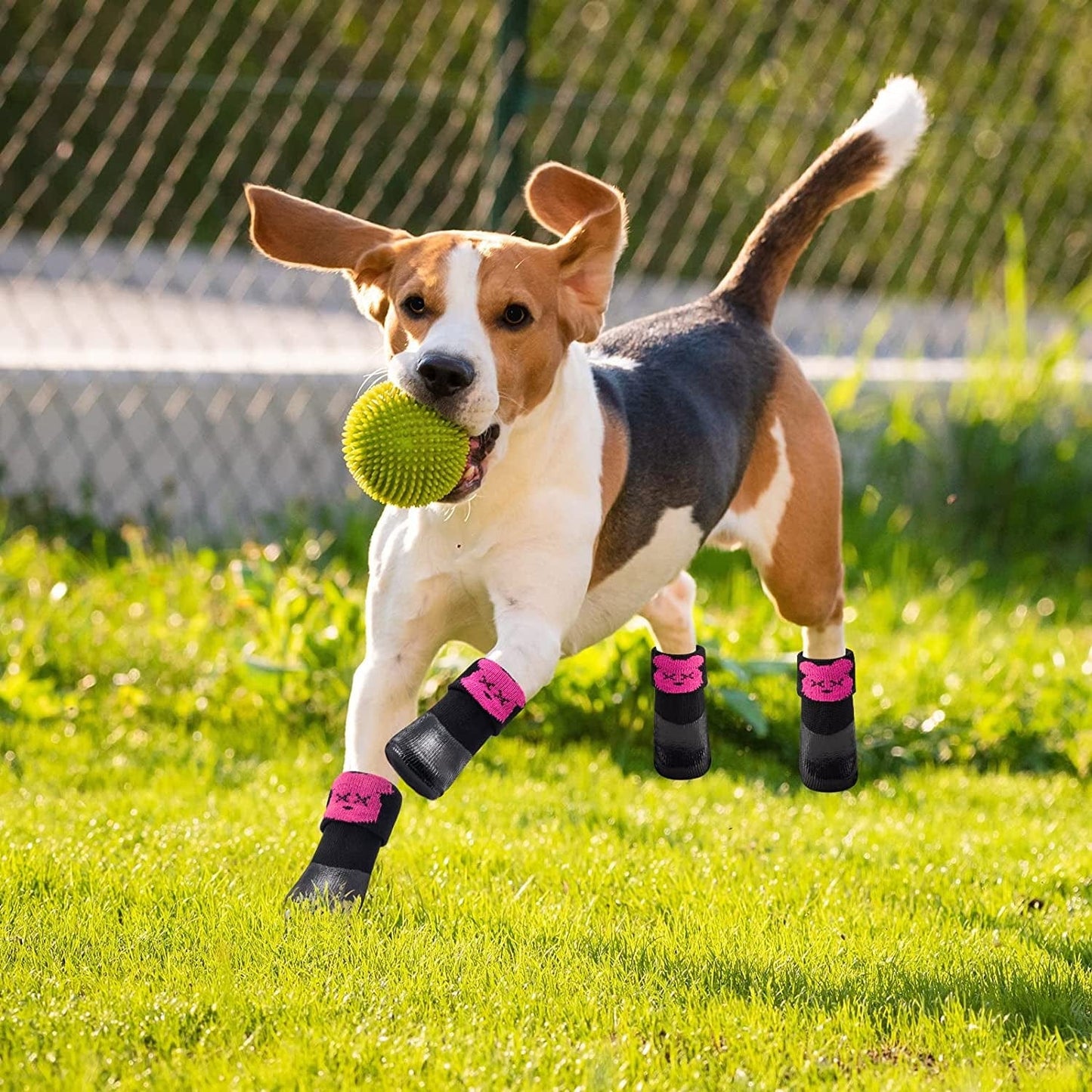 Inoveltyx Dog Boots Shoes Dog Booties Paw Protector with Hot Pavement Waterproof Soft anti Slip Sole,Adjustable Straps,Breathable Cotton,Summer Winter Outdoor for Small Dog Puppy(Medium,Pink) Animals & Pet Supplies > Pet Supplies > Dog Supplies > Dog Apparel inoveltyx   