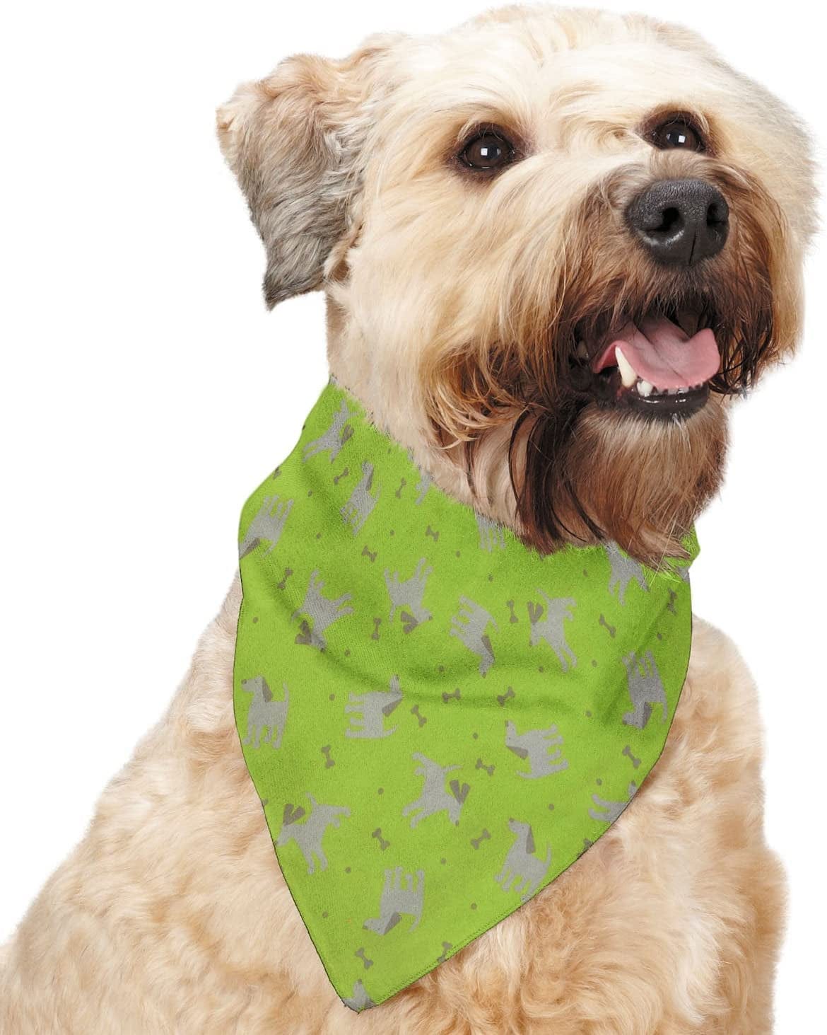 Insect Shield Repellant Dog Bandana for Protecting Dogs from Fleas, Ticks, and Mosquitoes, Dogs & Bones, Green, 19X19 Inch (Pack of 1) (IE9412 44) Animals & Pet Supplies > Pet Supplies > Dog Supplies > Dog Apparel Insect Shield   