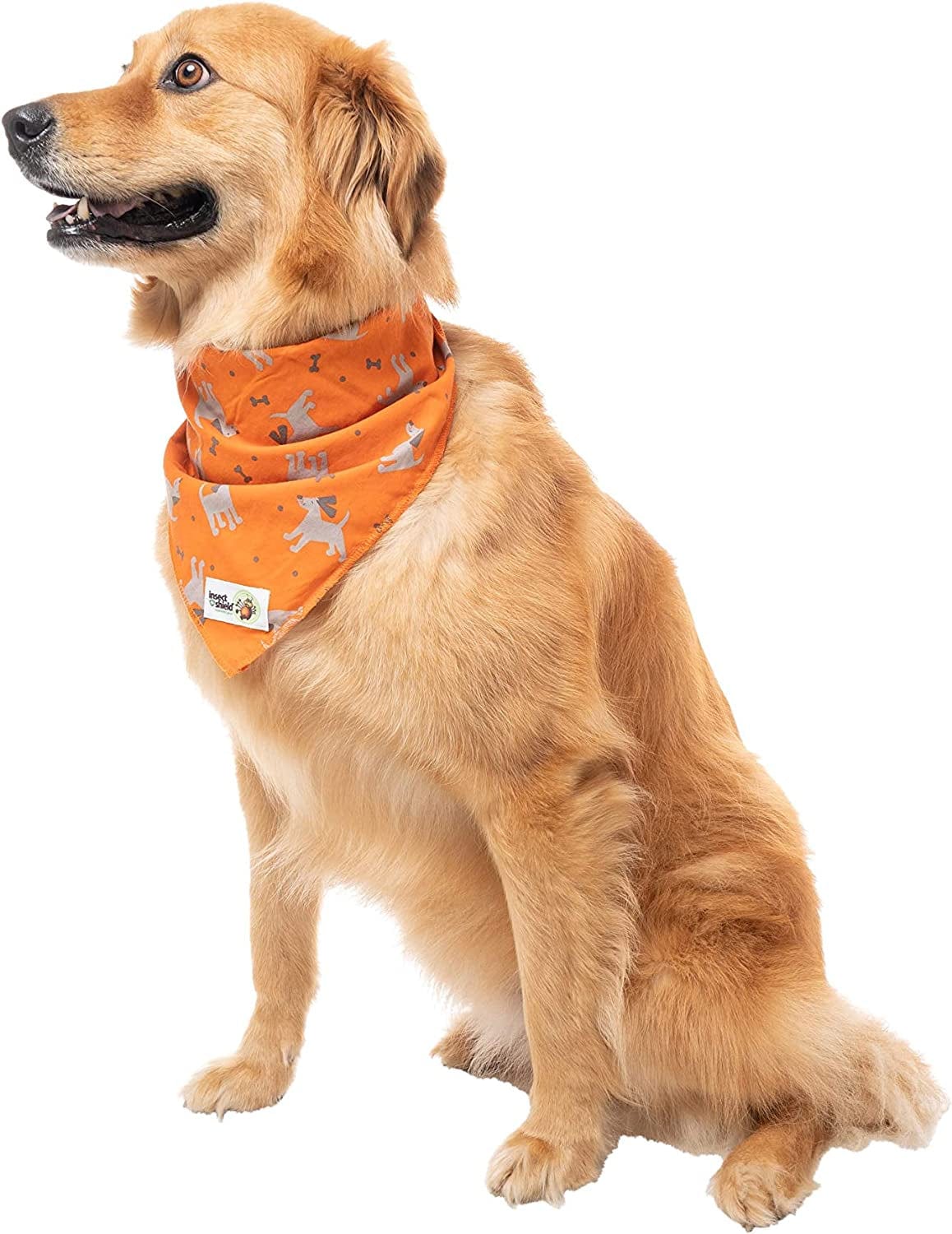 Insect Shield Repellant Dog Bandana for Protecting Dogs from Fleas, Ticks, and Mosquitoes, Dogs & Bones, Orange, 1 Count (Pack of 1) (IE9412 69), 19 by 19-Inch Animals & Pet Supplies > Pet Supplies > Dog Supplies > Dog Apparel Insect Shield   