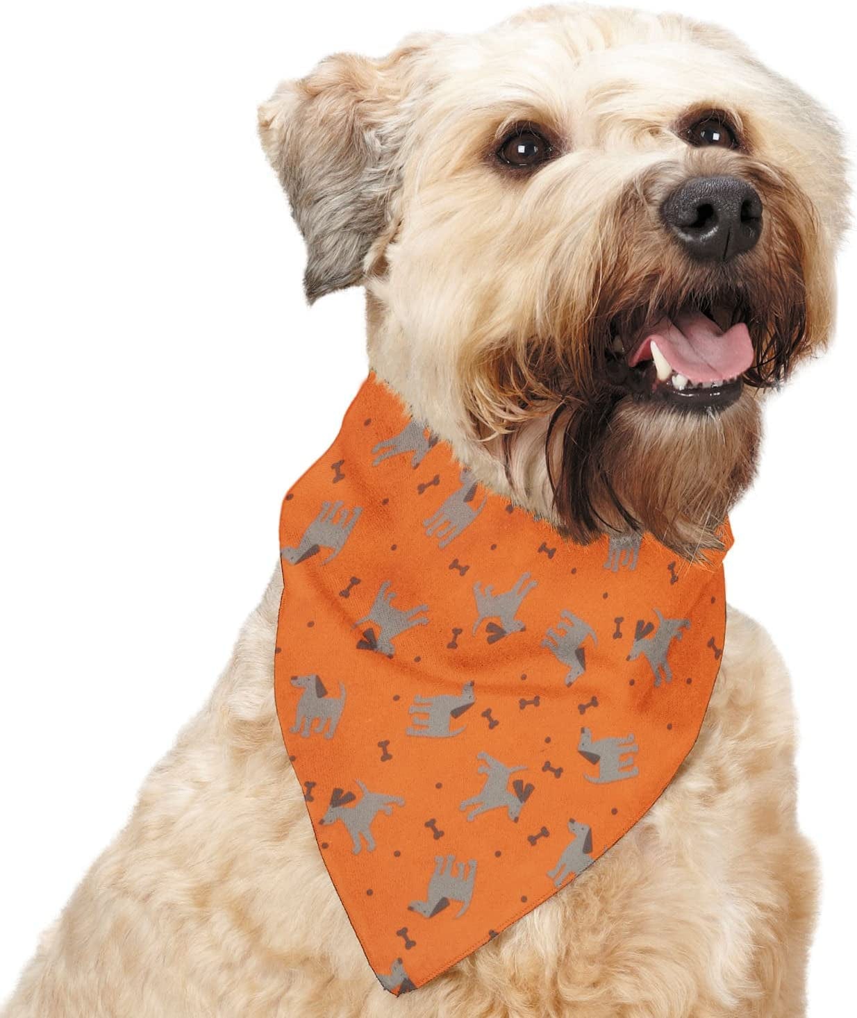 Insect Shield Repellant Dog Bandana for Protecting Dogs from Fleas, Ticks, and Mosquitoes, Dogs & Bones, Orange, 1 Count (Pack of 1) (IE9412 69), 19 by 19-Inch Animals & Pet Supplies > Pet Supplies > Dog Supplies > Dog Apparel Insect Shield   