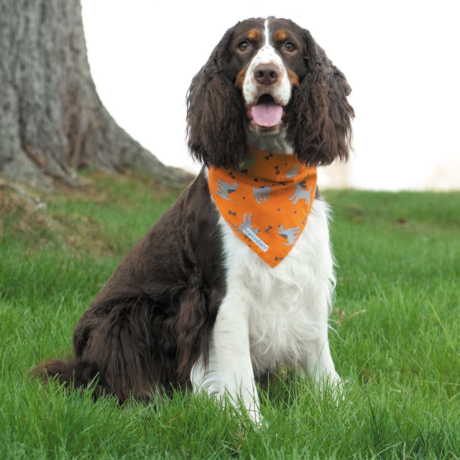 Insect Shield Repellant Dog Bandana for Protecting Dogs from Fleas, Ticks, and Mosquitoes, Dogs & Bones, Orange, 1 Count (Pack of 1) (IE9412 69), 19 by 19-Inch Animals & Pet Supplies > Pet Supplies > Dog Supplies > Dog Apparel Insect Shield   