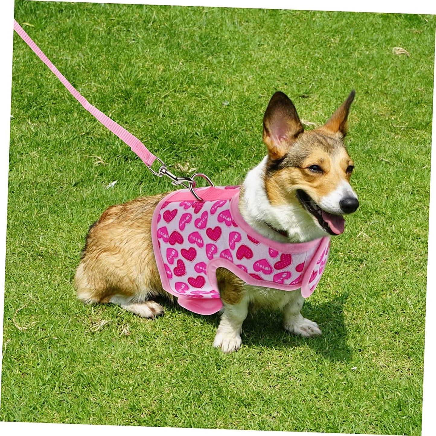 Ipetboom Pet Harness Harness for Small Dogs Running Shirts Running Leash Dog Belt Pet Pullover Clothes Dog Hawaiian Shirt Dog Harness Vest Dog Mesh Harness Strap Dog Mesh Harness Vest Pink Animals & Pet Supplies > Pet Supplies > Dog Supplies > Dog Apparel Ipetboom   