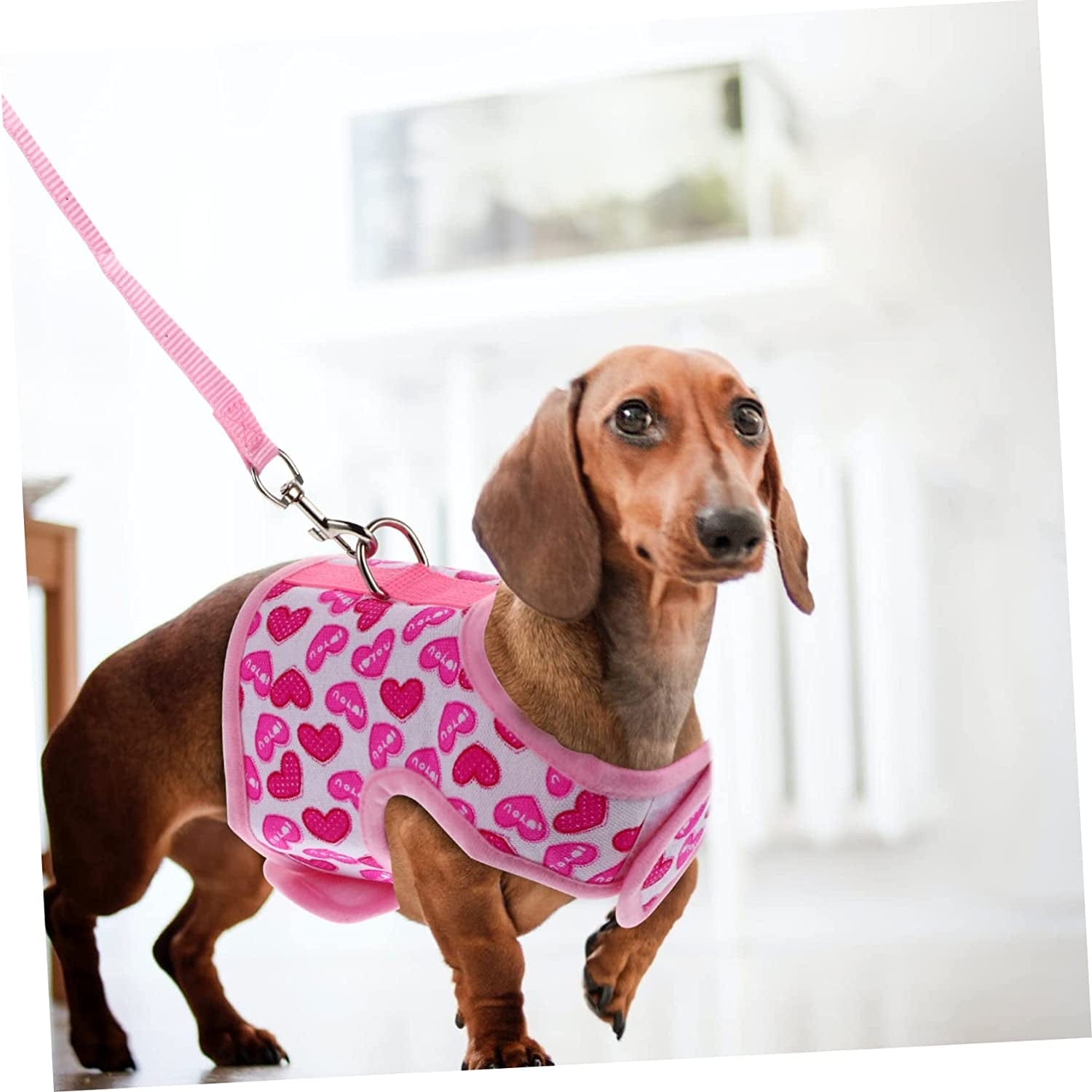 Ipetboom Pet Harness Harness for Small Dogs Running Shirts Running Leash Dog Belt Pet Pullover Clothes Dog Hawaiian Shirt Dog Harness Vest Dog Mesh Harness Strap Dog Mesh Harness Vest Pink Animals & Pet Supplies > Pet Supplies > Dog Supplies > Dog Apparel Ipetboom   