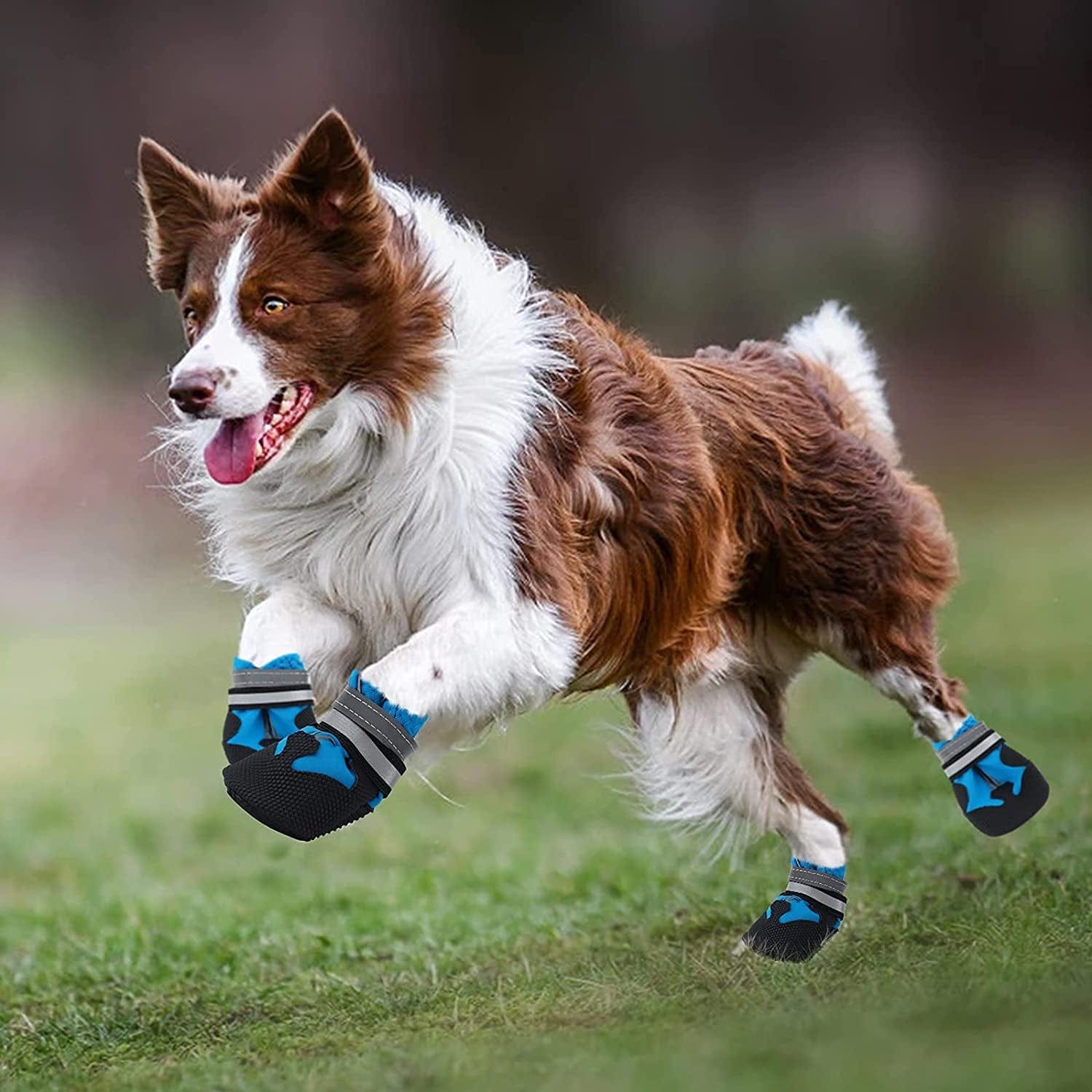 Jodsen Dog Boots, Set of 4 Waterproof Dog Shoes with Reflective Straps Anti-Slip Sole Outdoor Paw Protectors Dog Shoes for Small Medium Dogs Autumn Winter, Blue (M) Animals & Pet Supplies > Pet Supplies > Dog Supplies > Dog Apparel Jodsen   