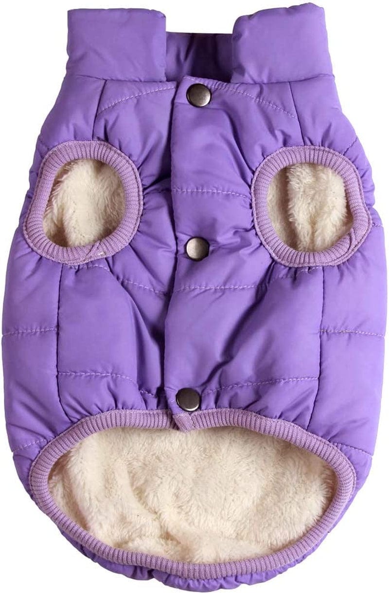 Joydaog 2 Layers Fleece Lined Warm Dog Jacket for Puppy Winter Cold Weather,Soft Windproof Small Dog Coat,Green S Animals & Pet Supplies > Pet Supplies > Dog Supplies > Dog Apparel Qingwanke Purple X-Small (Pack of 1) 