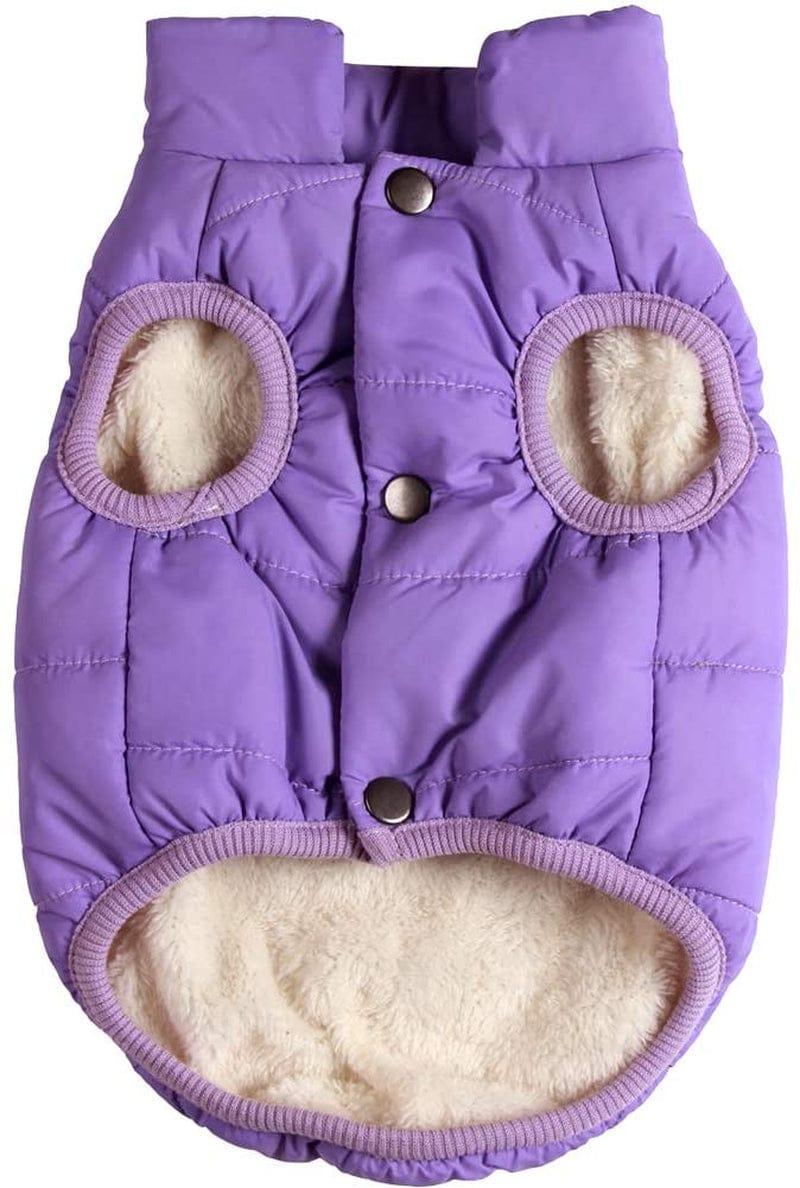 Joydaog 2 Layers Fleece Lined Warm Dog Jacket for Puppy Winter Cold Weather,Soft Windproof Small Dog Coat,Green S Animals & Pet Supplies > Pet Supplies > Dog Supplies > Dog Apparel Qingwanke Purple XX-Large (Pack of 1) 