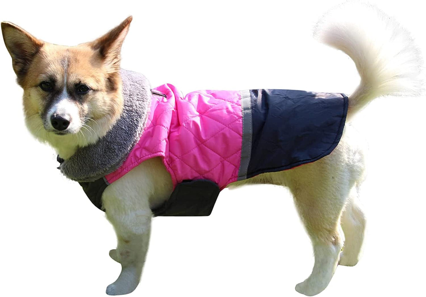 Joydaog Fleece Collar Reversible Dog Coats for Small Dogs Waterproof Warm Puppy Jacket for Cold Winter,Black M Animals & Pet Supplies > Pet Supplies > Dog Supplies > Dog Apparel JoyDaog Dark Pink X-Large (Pack of 1) 