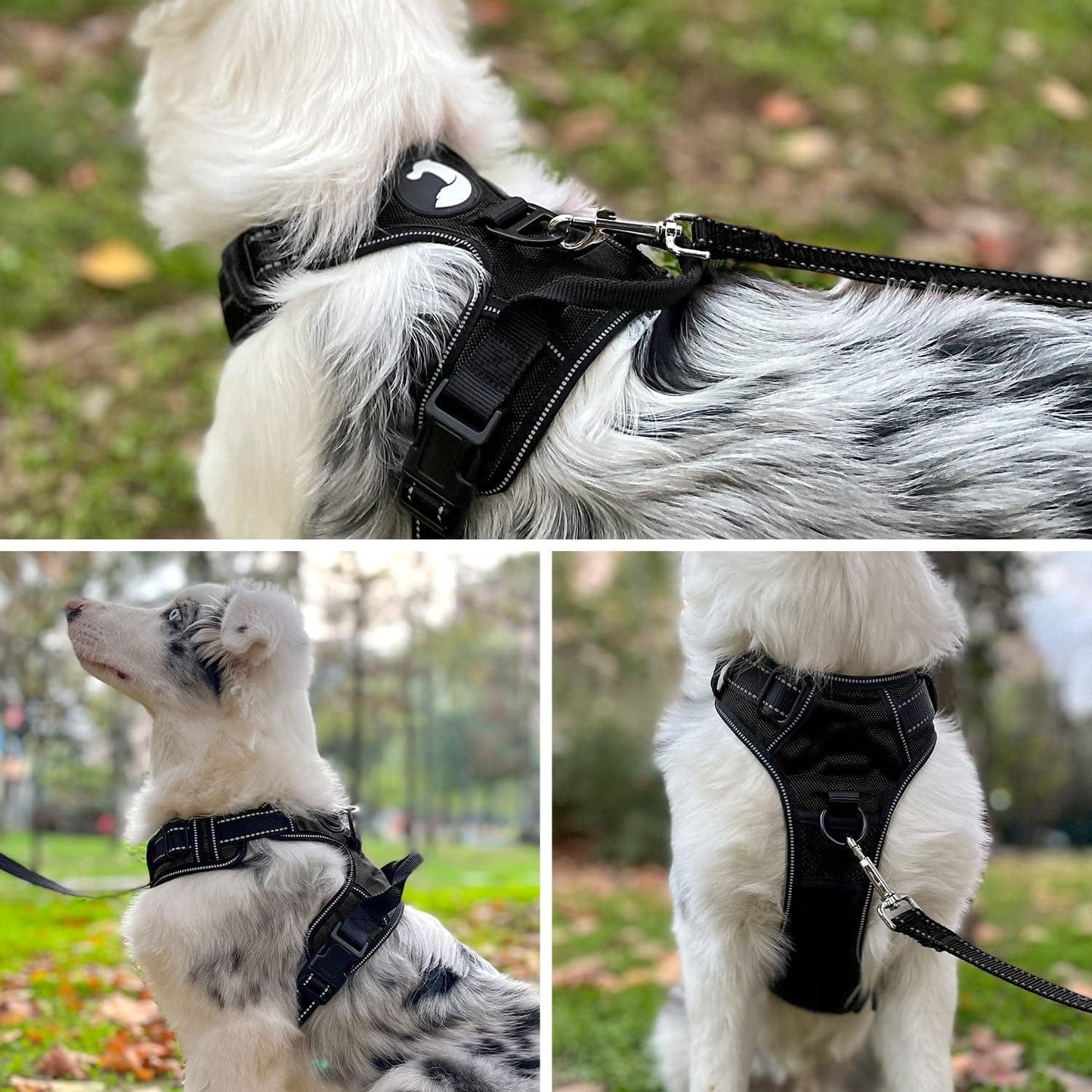 Joytale No Pull Dog Harness Large Dogs, Reflective No Choke Pet Vest with Front and Back 2 Leash Clips, Soft Padded Harnesses with Easy Control Handle for Training and Walking, Black, L Animals & Pet Supplies > Pet Supplies > Dog Supplies > Dog Apparel Joytale   