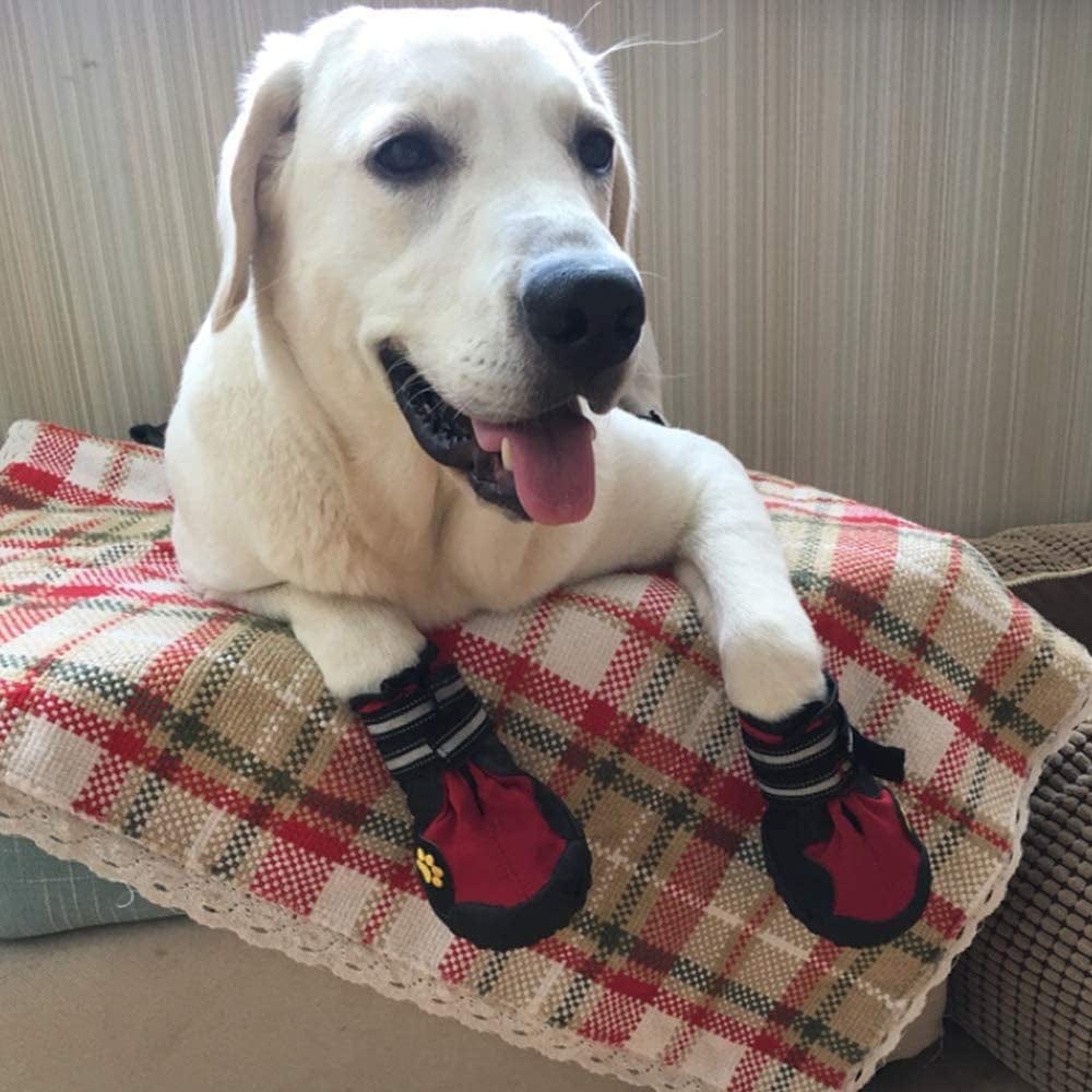 Junbo Petilleur 4Pcs Dog Shoes Waterproof Dog Boots Anti-Skid with Reflective Strap for Outdoor Activities (M) Animals & Pet Supplies > Pet Supplies > Dog Supplies > Dog Apparel Petilleur   