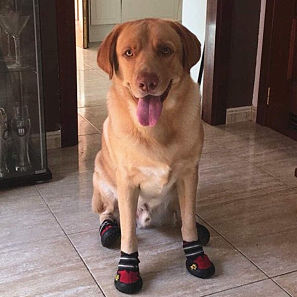 Junbo Petilleur 4Pcs Dog Shoes Waterproof Dog Boots Anti-Skid with Reflective Strap for Outdoor Activities (M) Animals & Pet Supplies > Pet Supplies > Dog Supplies > Dog Apparel Petilleur   