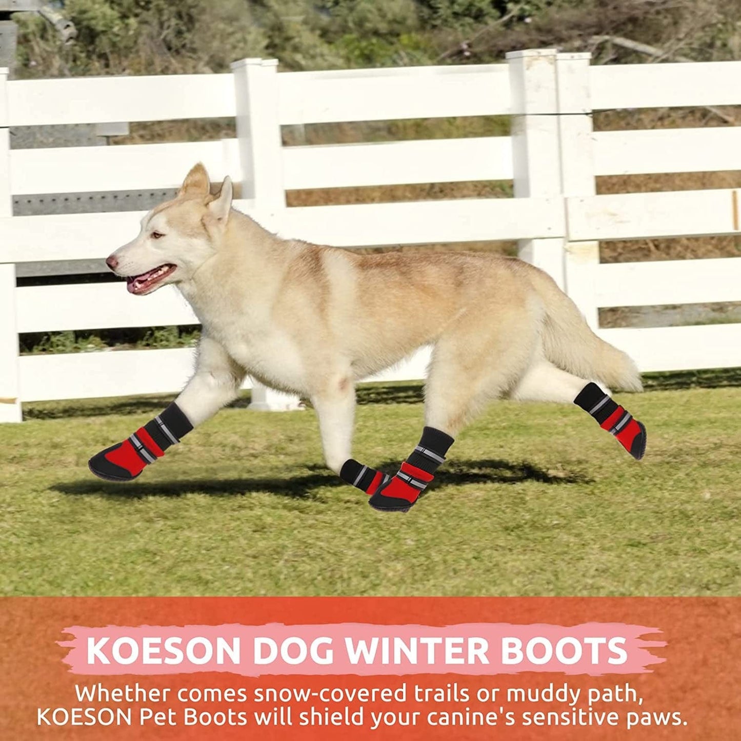 KOESON Waterproof Dog Boots Winter Pet Shoes, Outdoor Pet Snow Booties with Reflective Straps, Cold Weather Paw Protector with Anti-Slip Sole for Medium Large Dogs 4 Pcs Red M Animals & Pet Supplies > Pet Supplies > Dog Supplies > Dog Apparel KOESON   